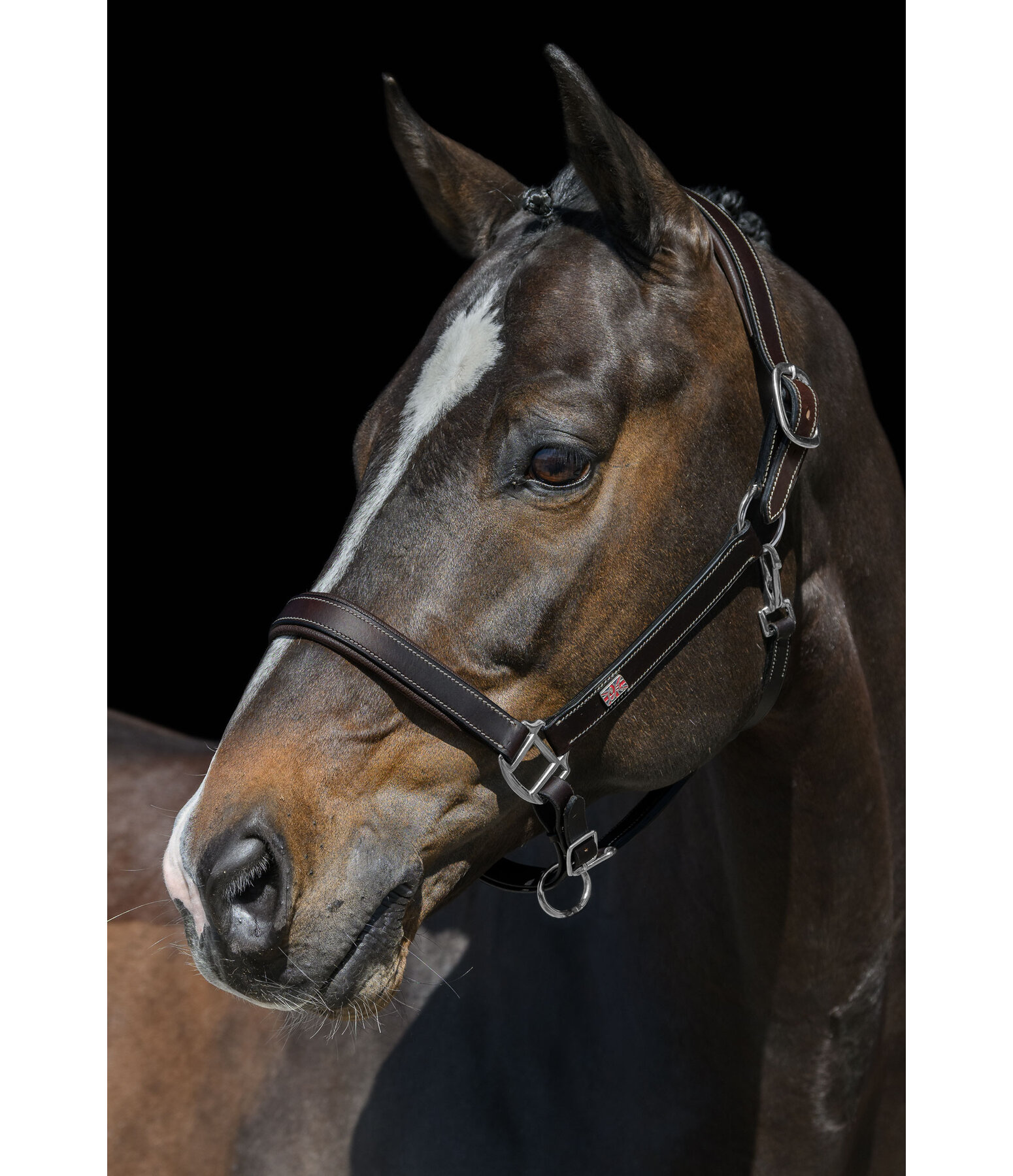 Leather Headcollar Elegant