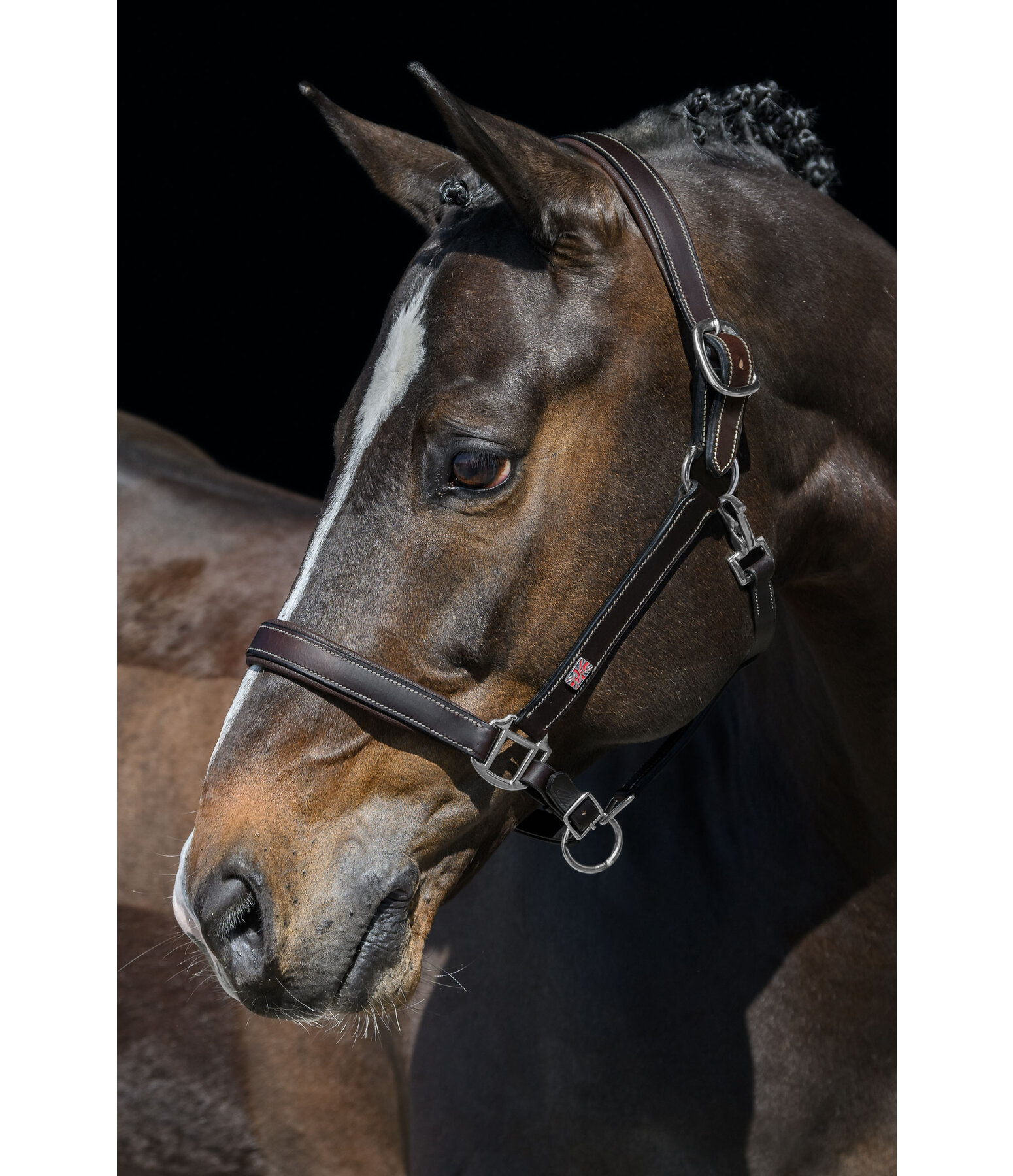 Leather Headcollar Elegant