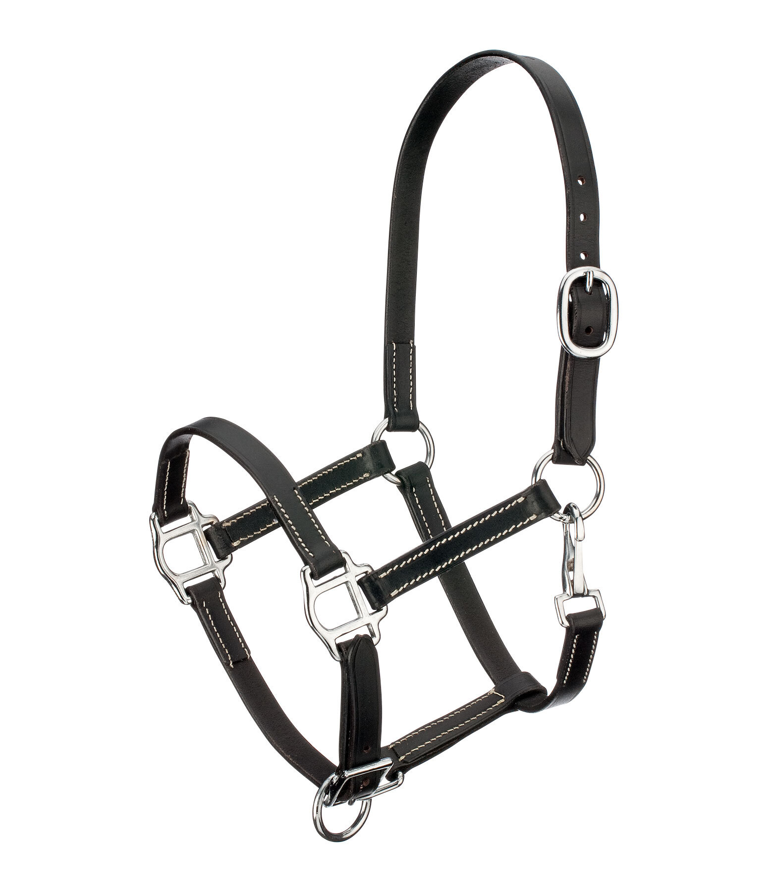 Foal Leather Headcollar Classic