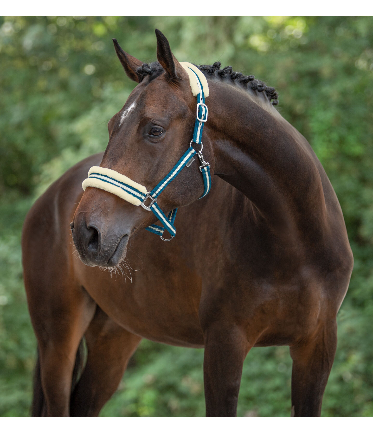 Headcollar Shimmering Stripes