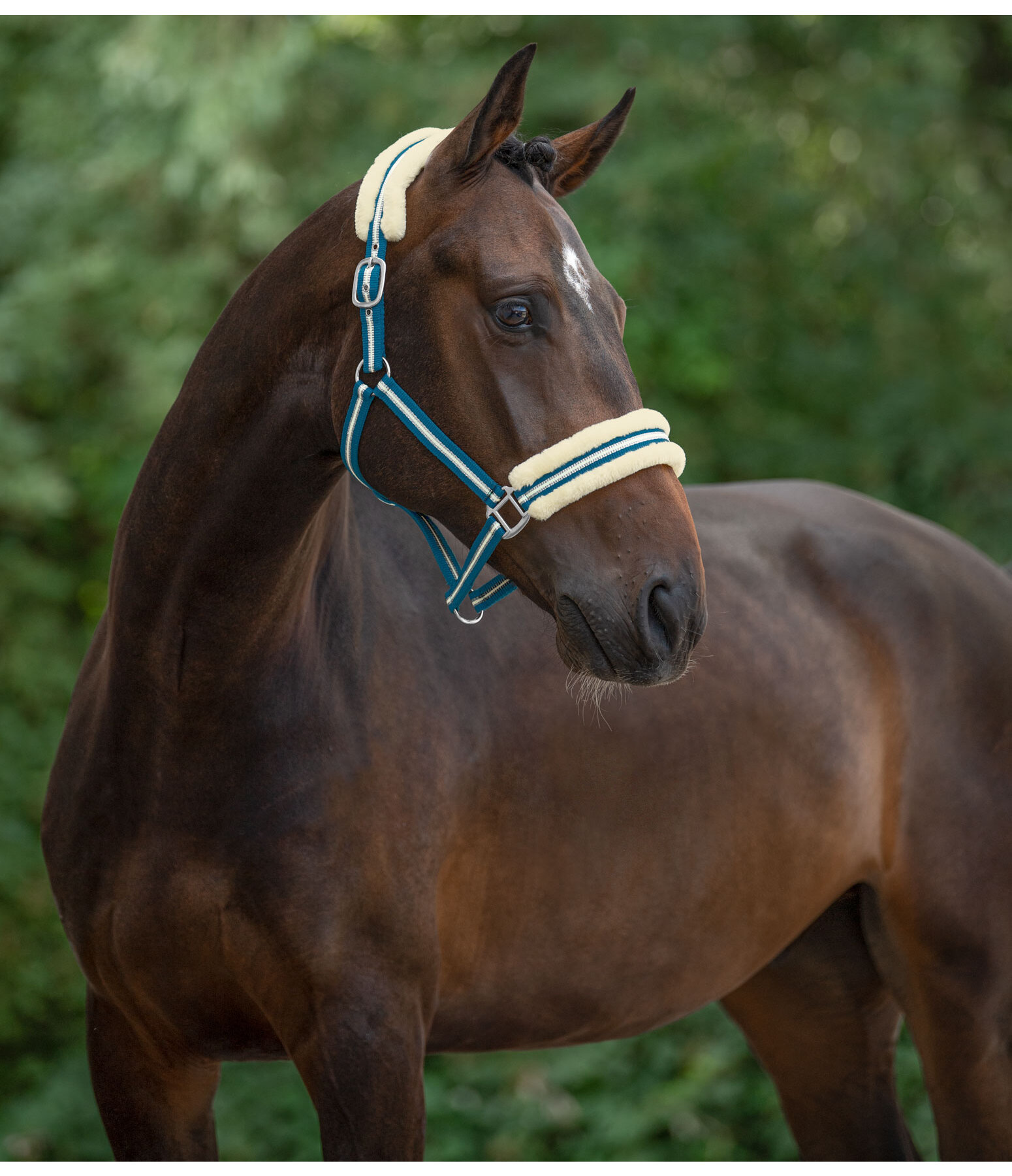 Headcollar Shimmering Stripes