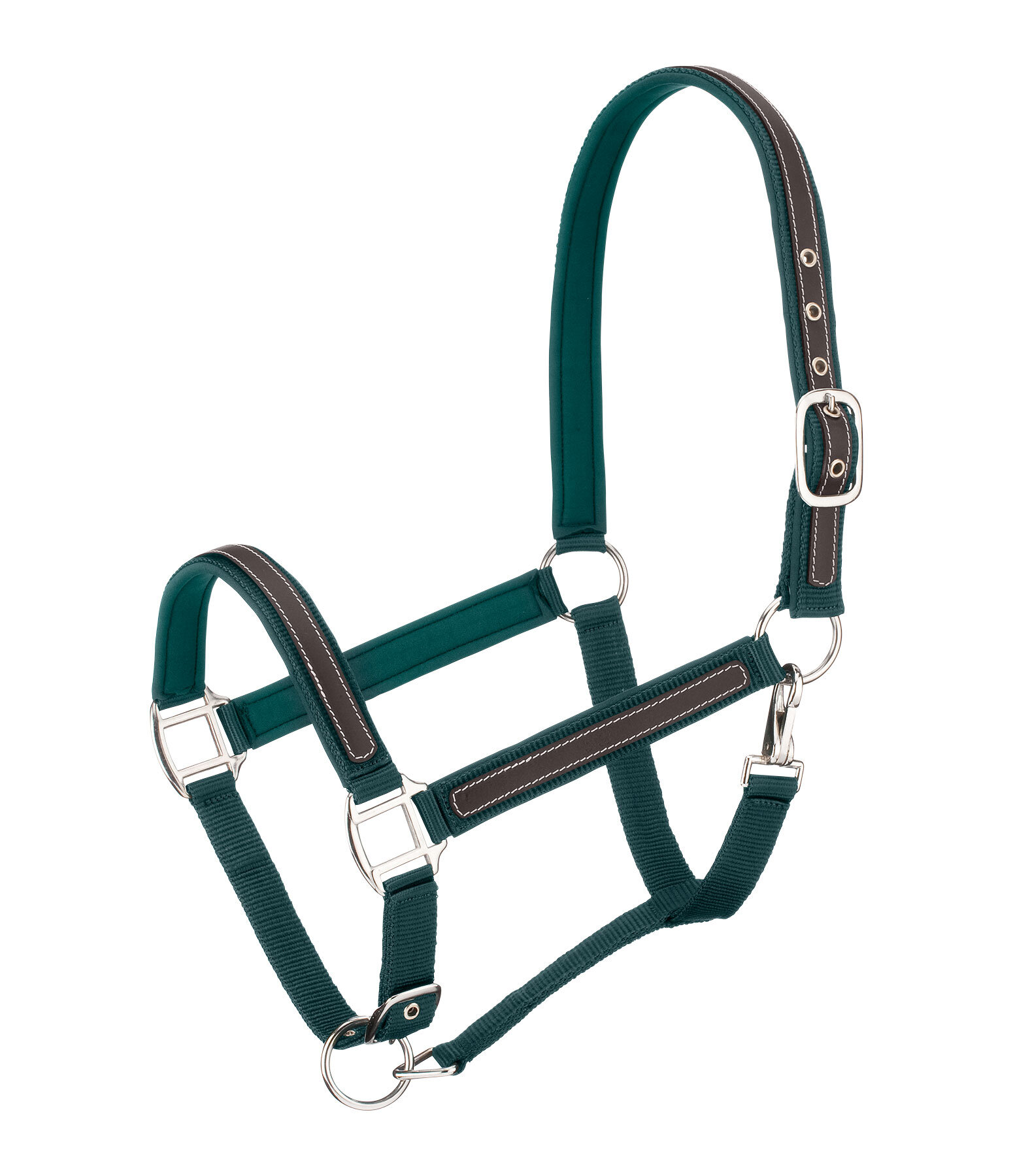 Headcollar Charles