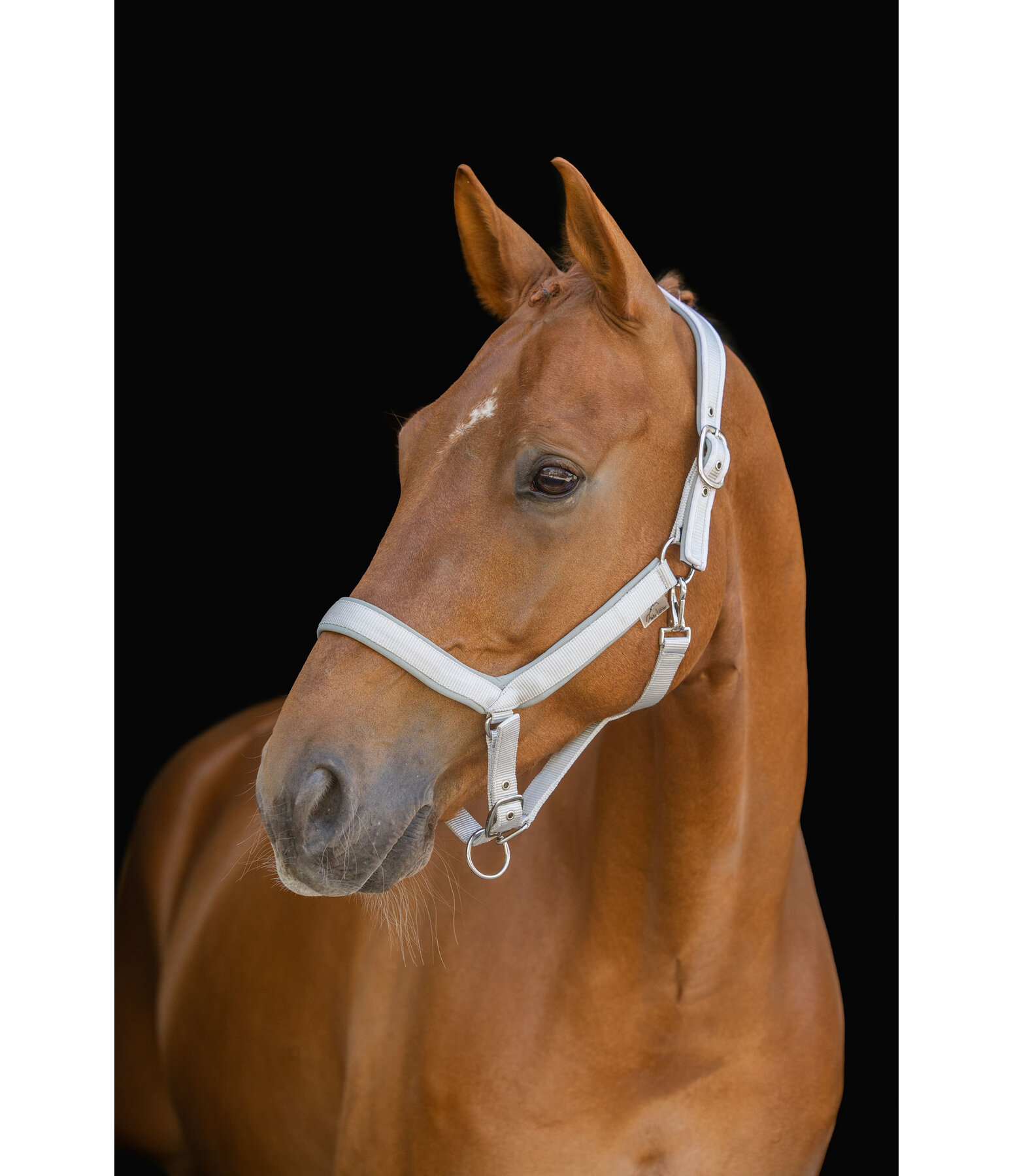 Headcollar Anatomical Relaxation