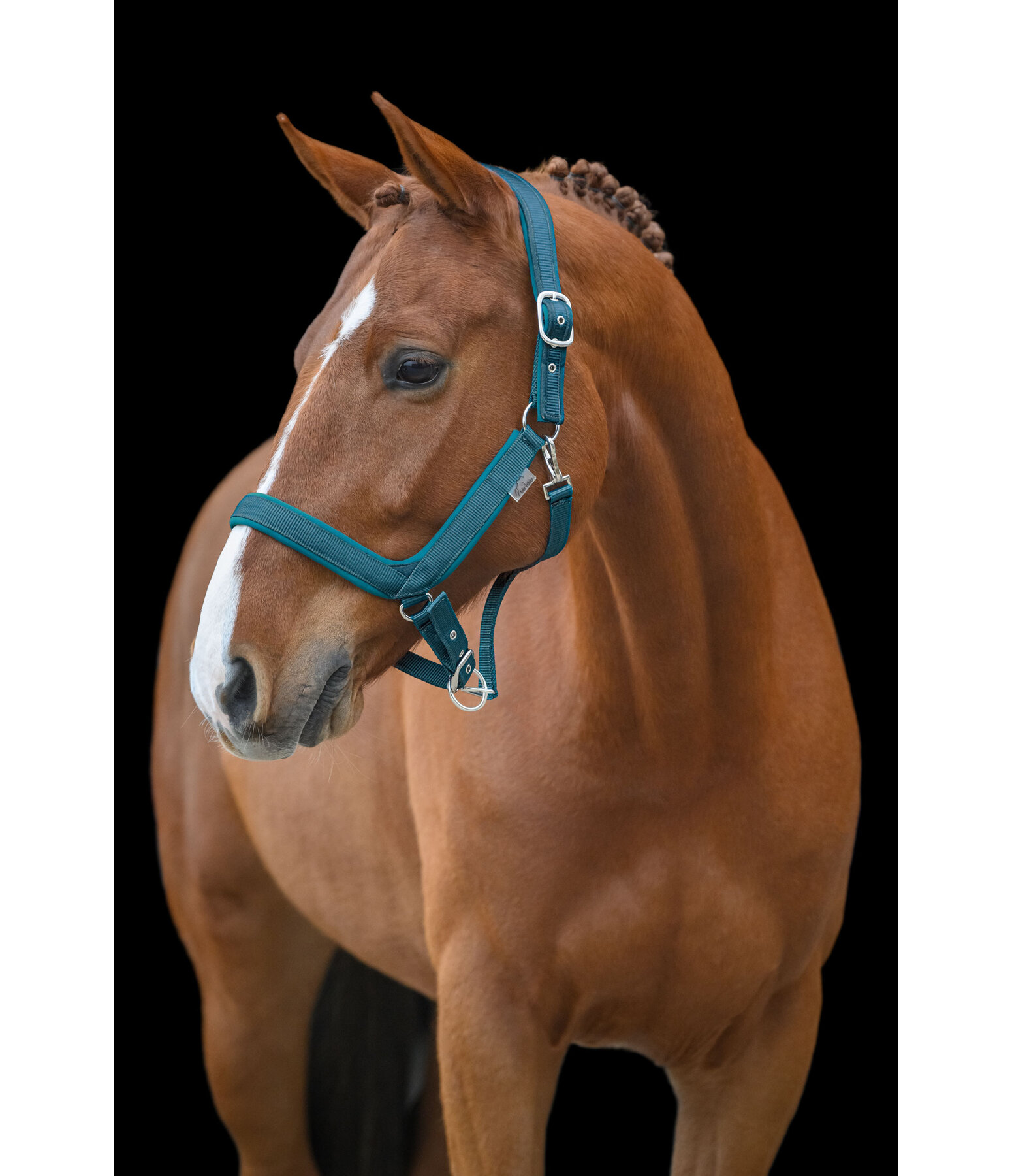 Headcollar Anatomical Relaxation