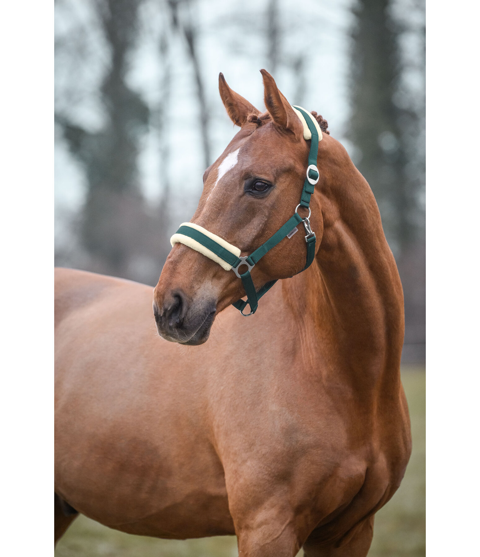 Headcollar Changeable