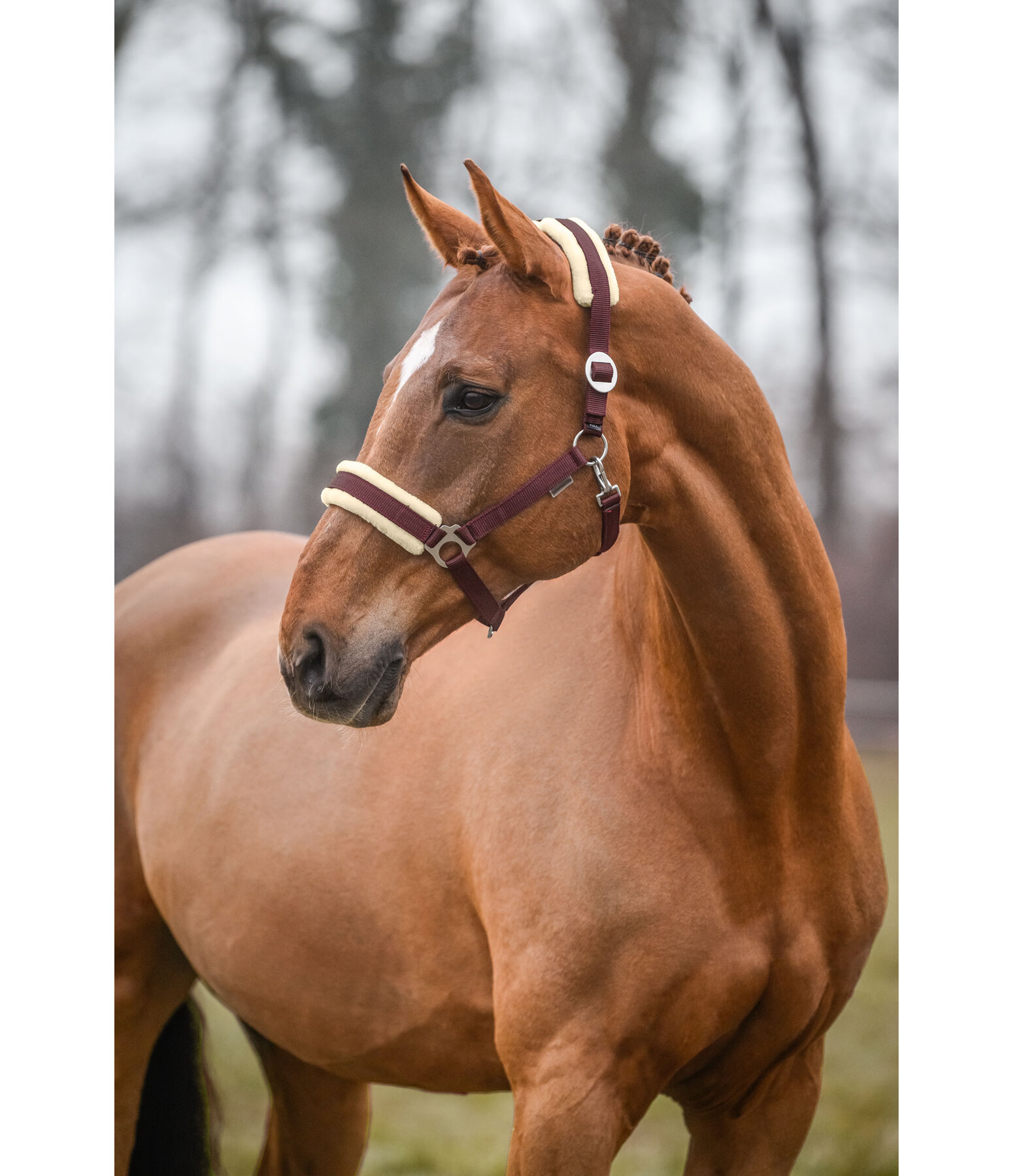 Headcollar Changeable