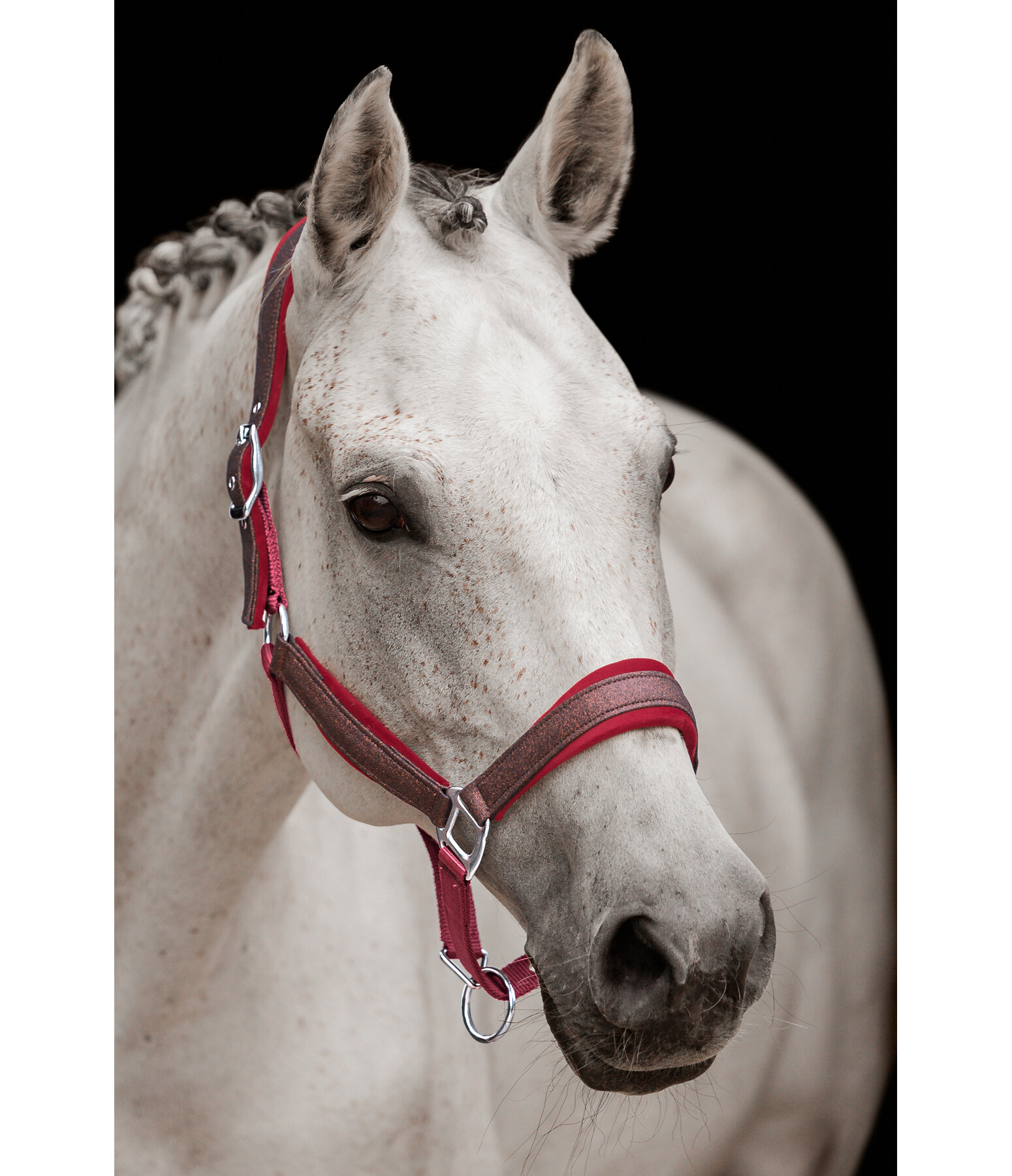 Headcollar Velvet Twinkle