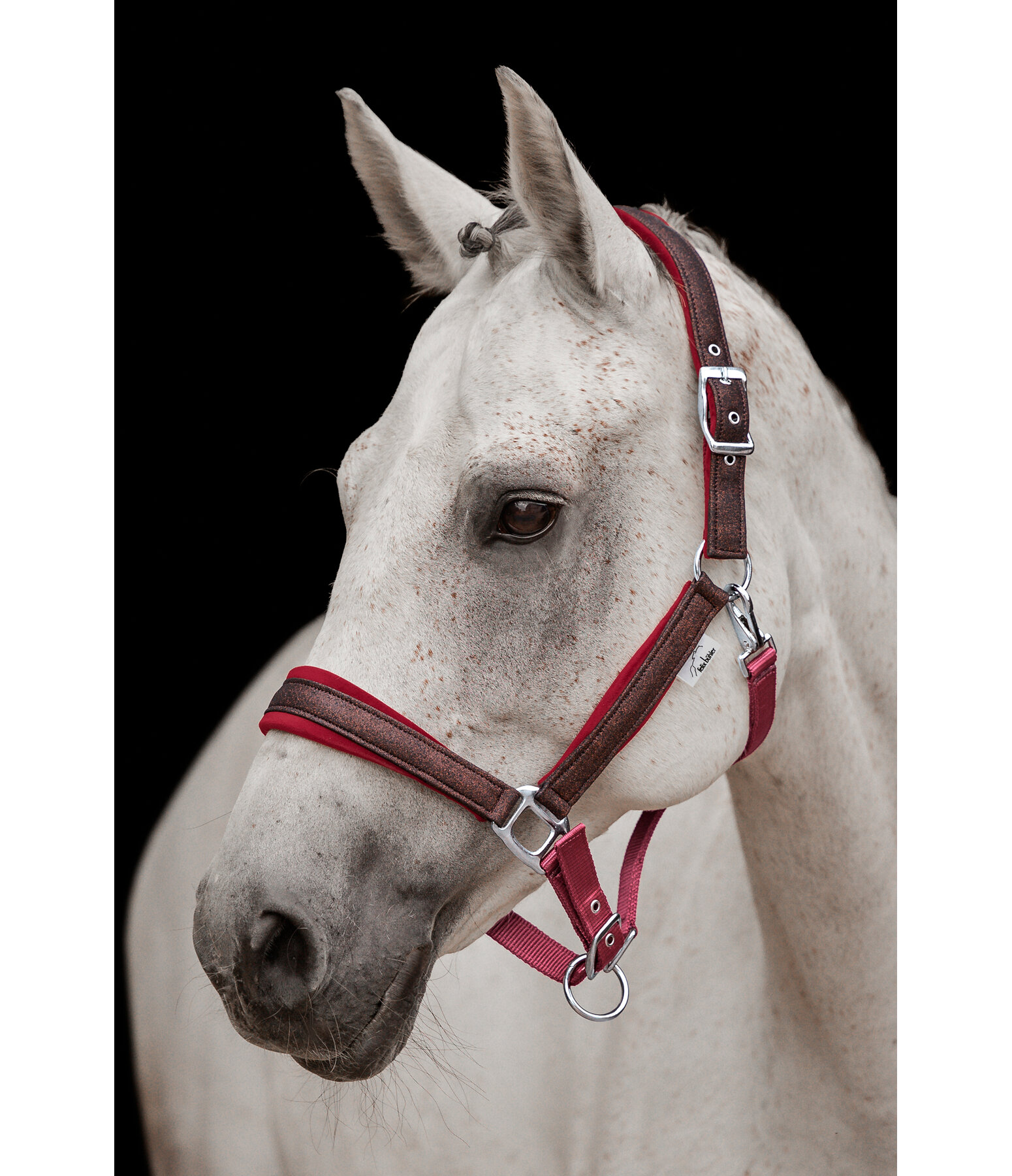 Headcollar Velvet Twinkle