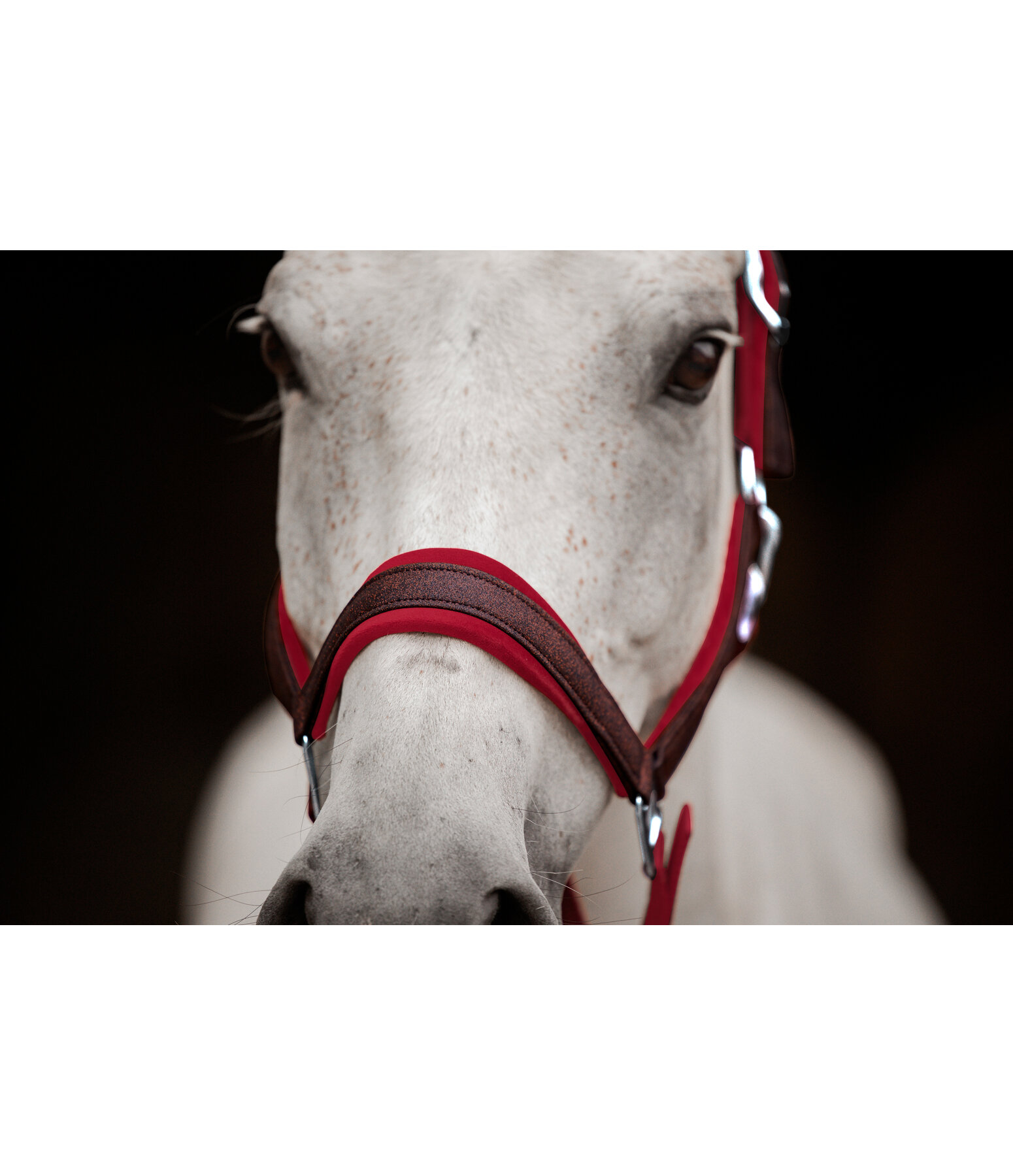 Headcollar Velvet Twinkle