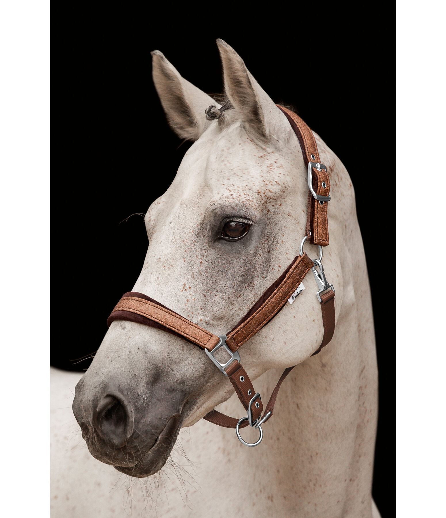 Headcollar Velvet Twinkle