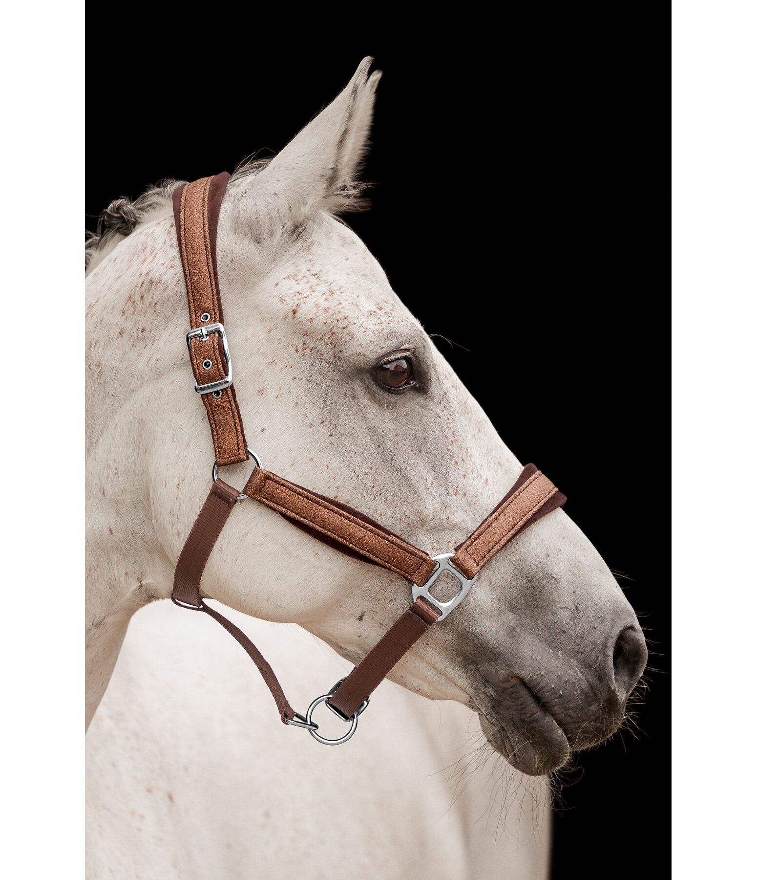 Headcollar Velvet Twinkle