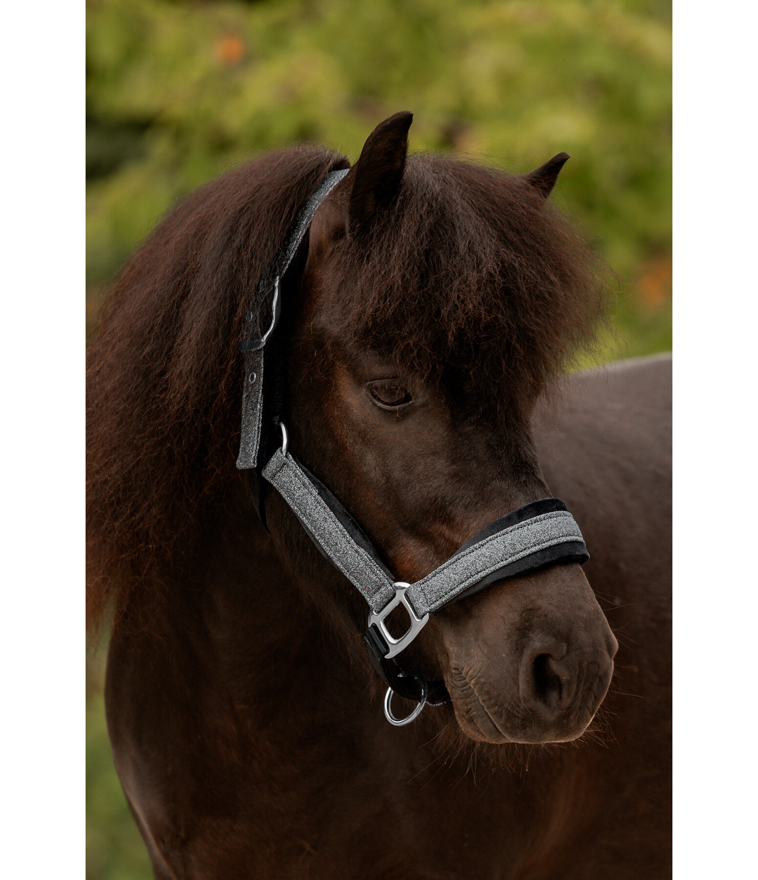 Headcollar Velvet Twinkle