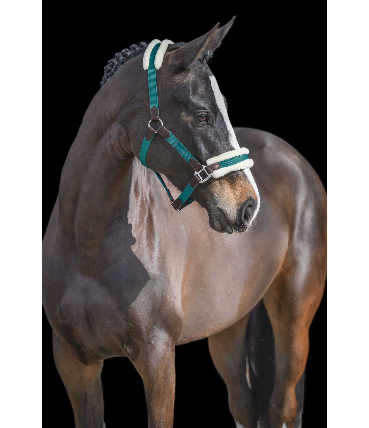 Headcollar Charlotte