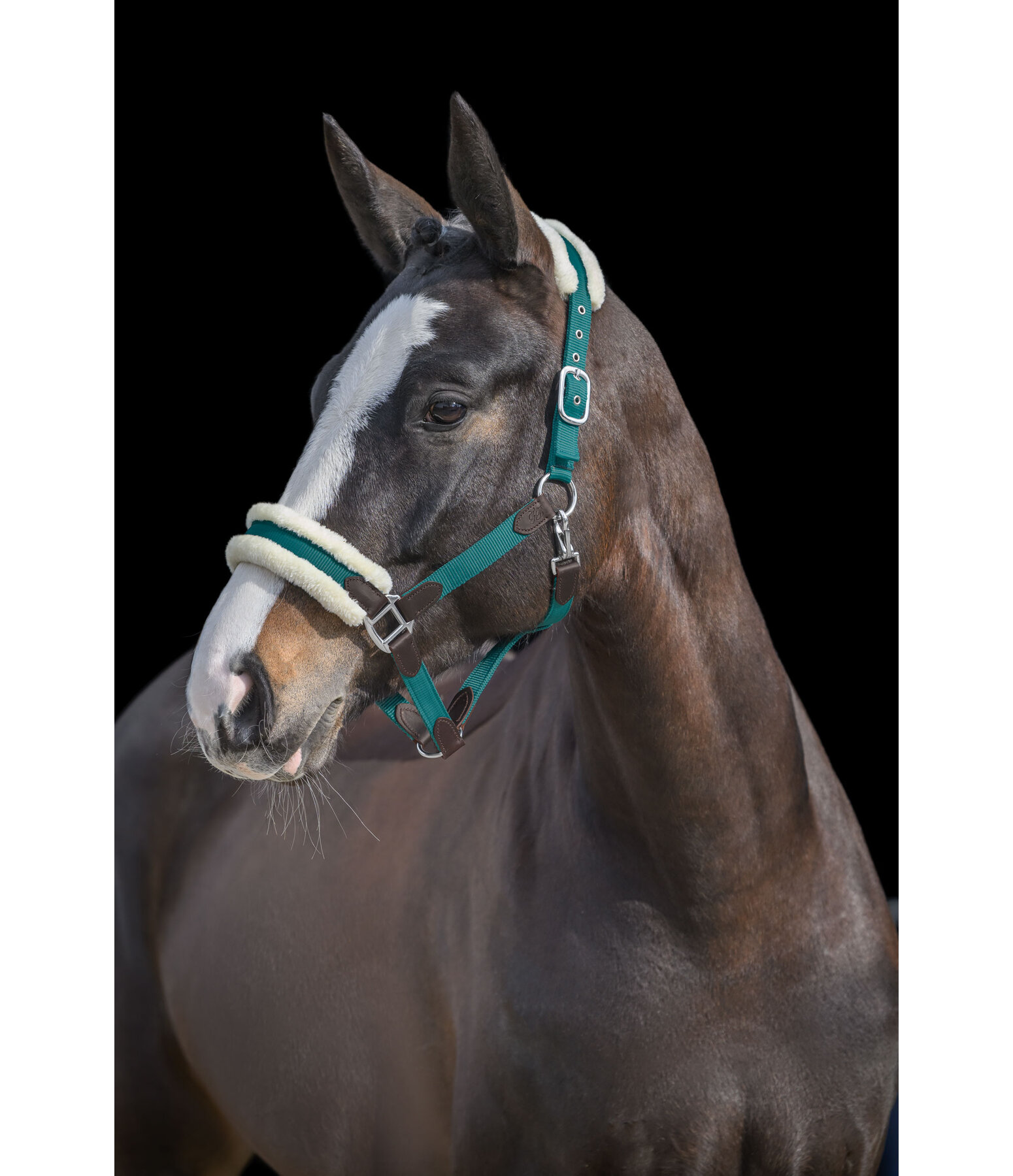 Headcollar Charlotte