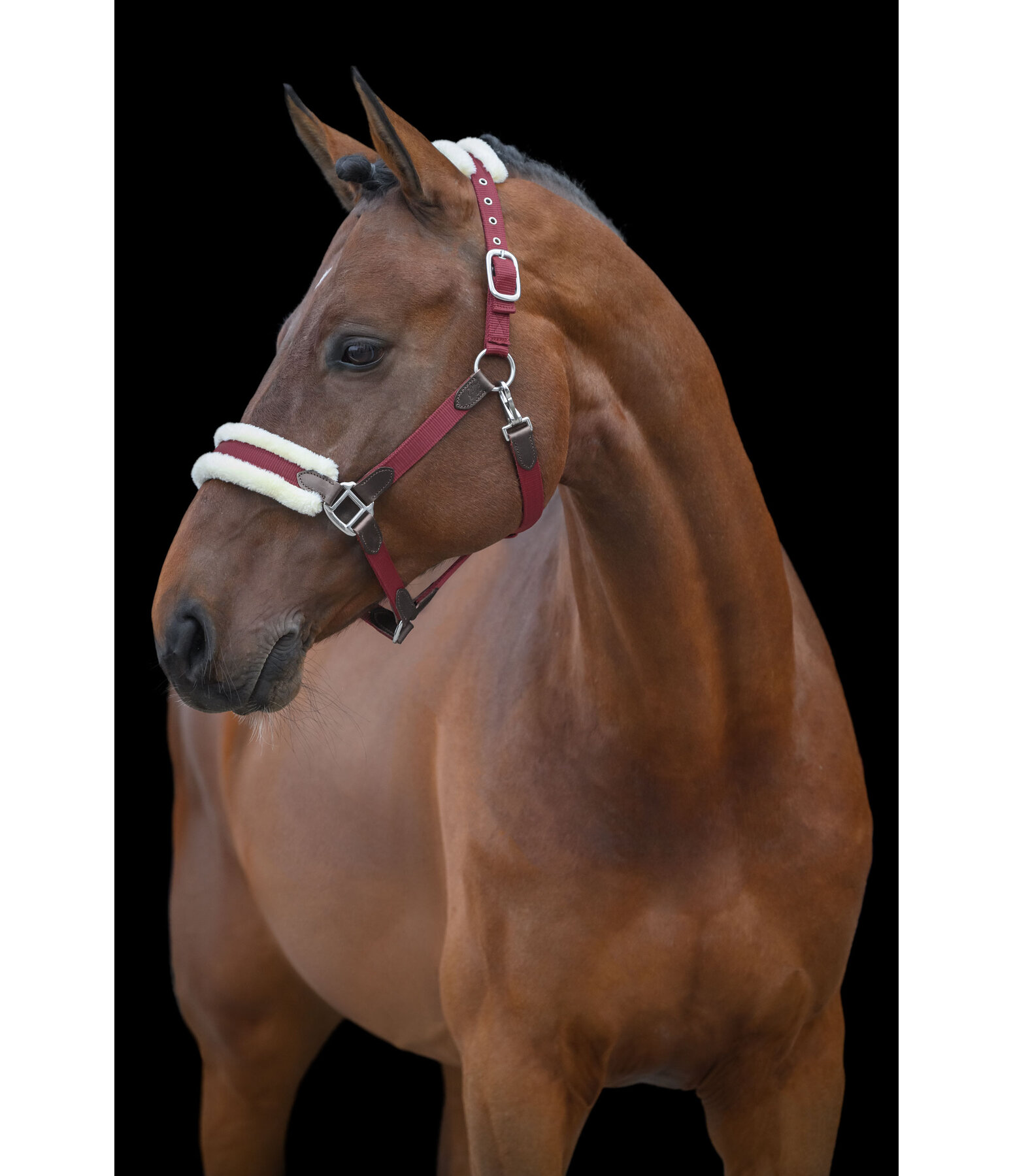 Headcollar Charlotte