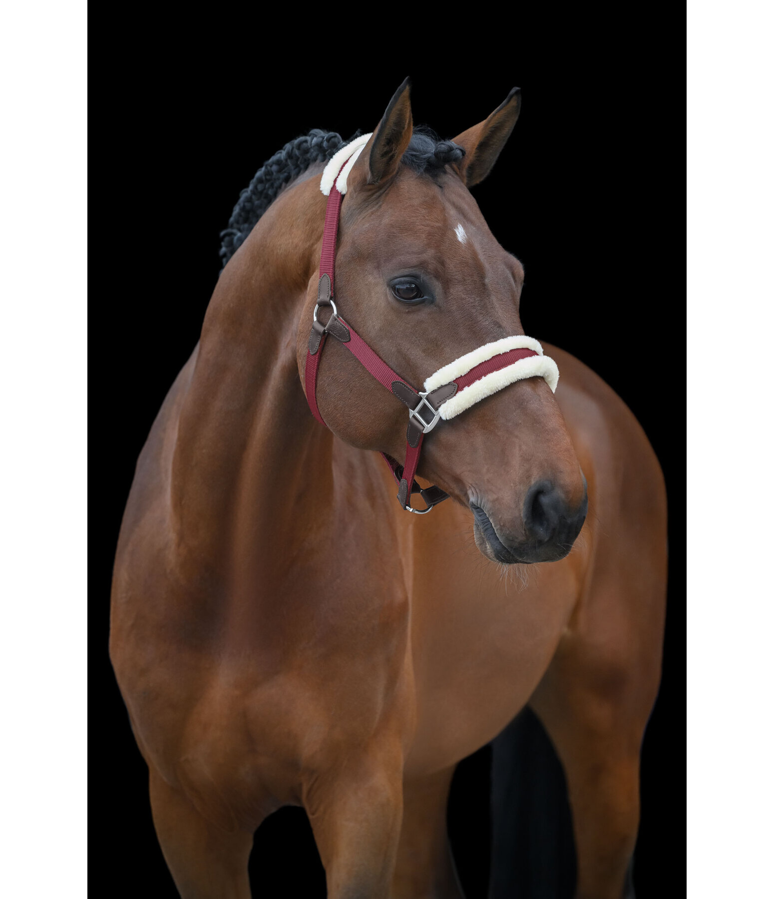 Headcollar Charlotte