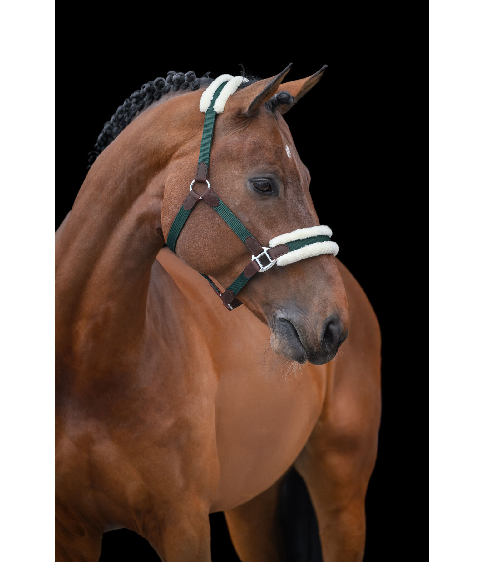 Headcollar Charlotte