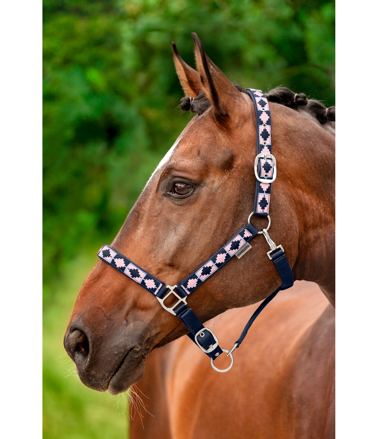 Headcollar Tricolour