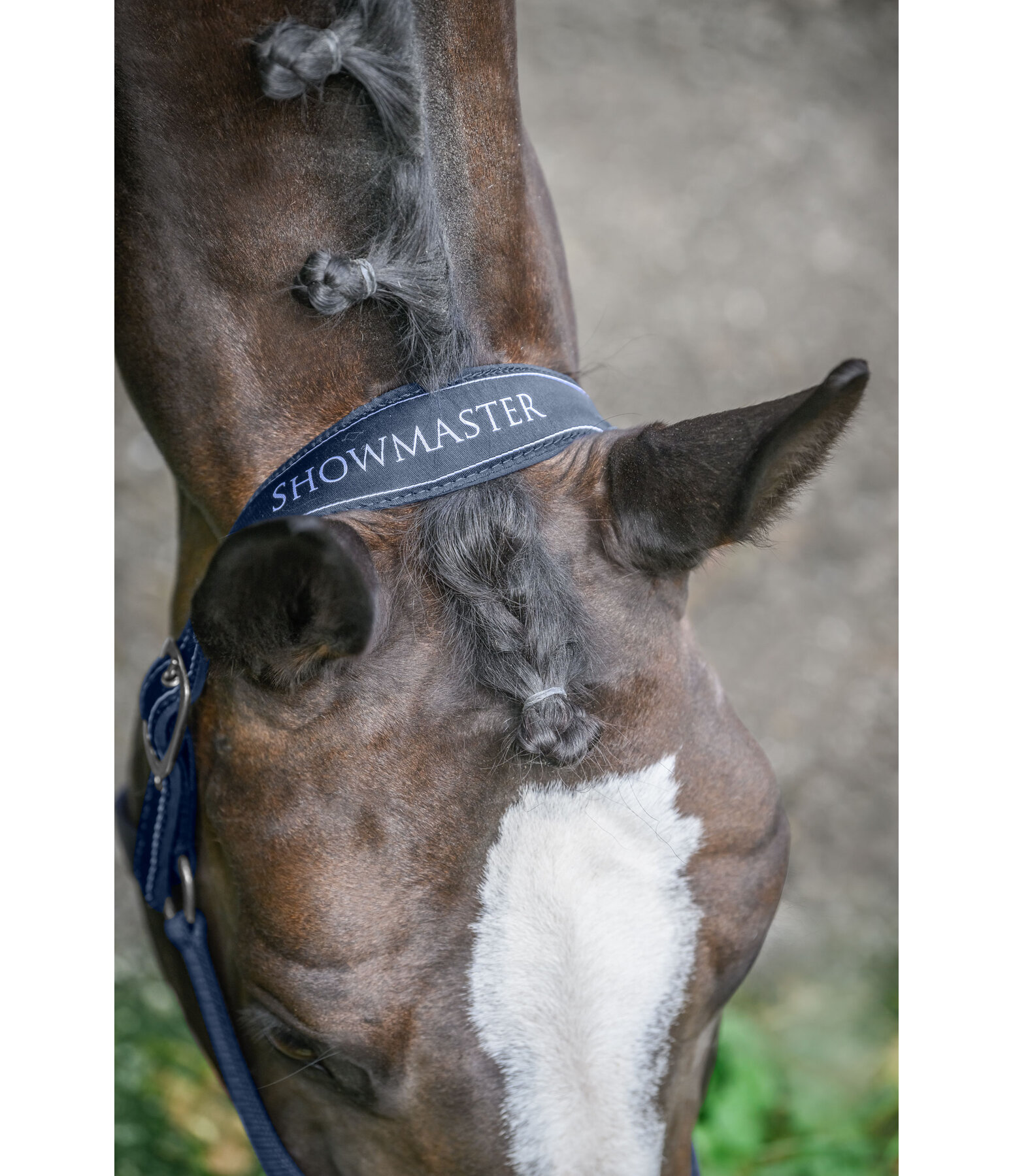 Headcollar Cloud