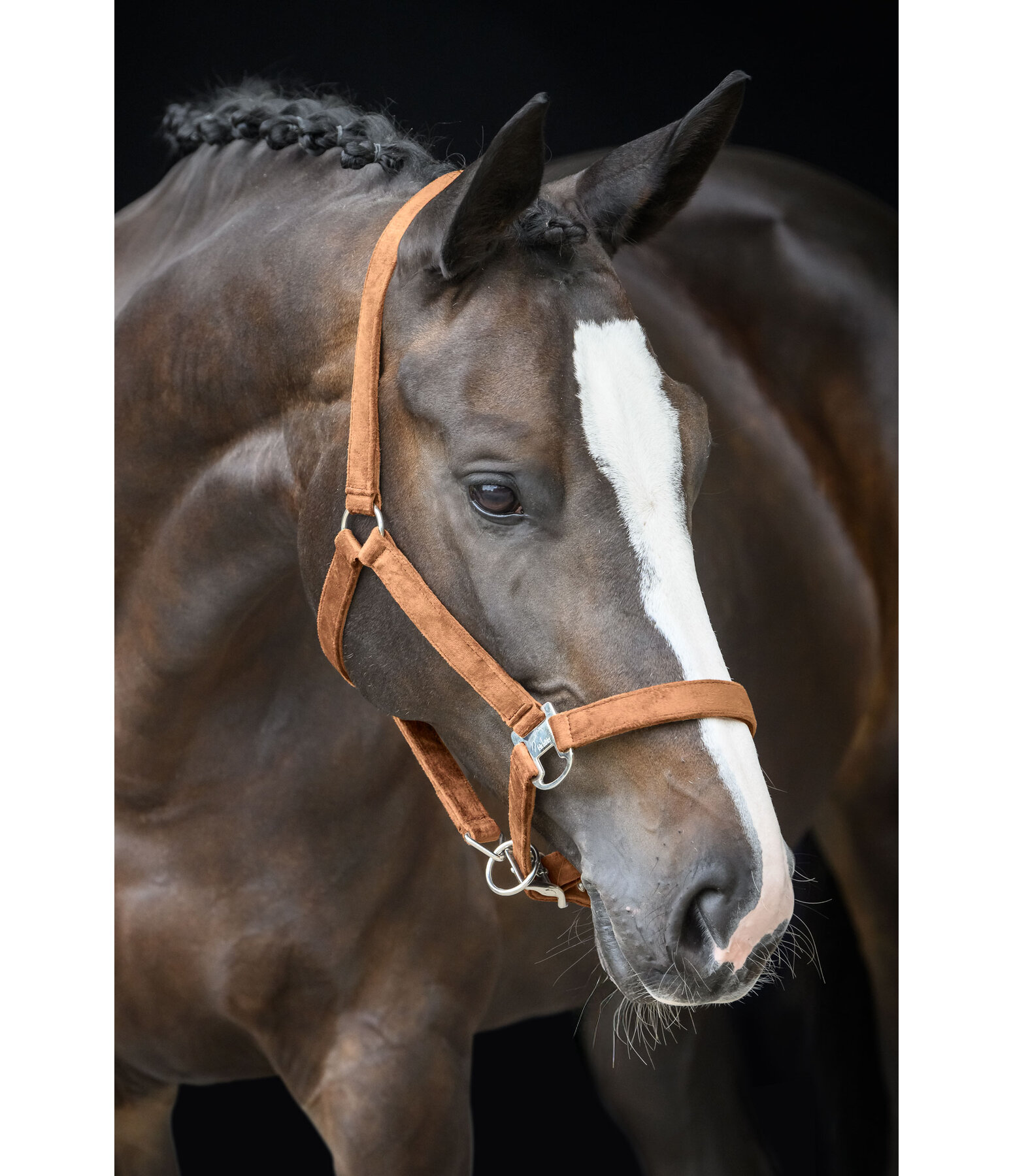 Headcollar Velvet