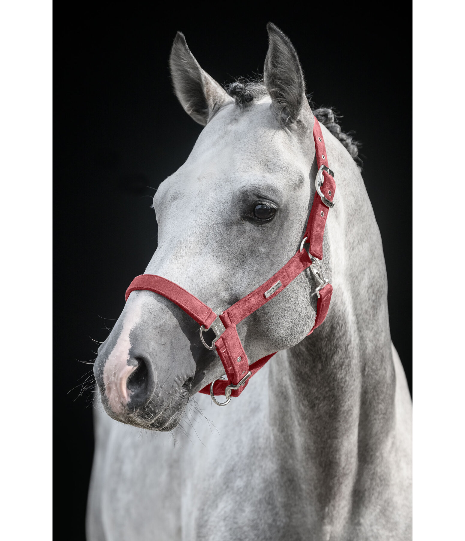 Headcollar Velvet