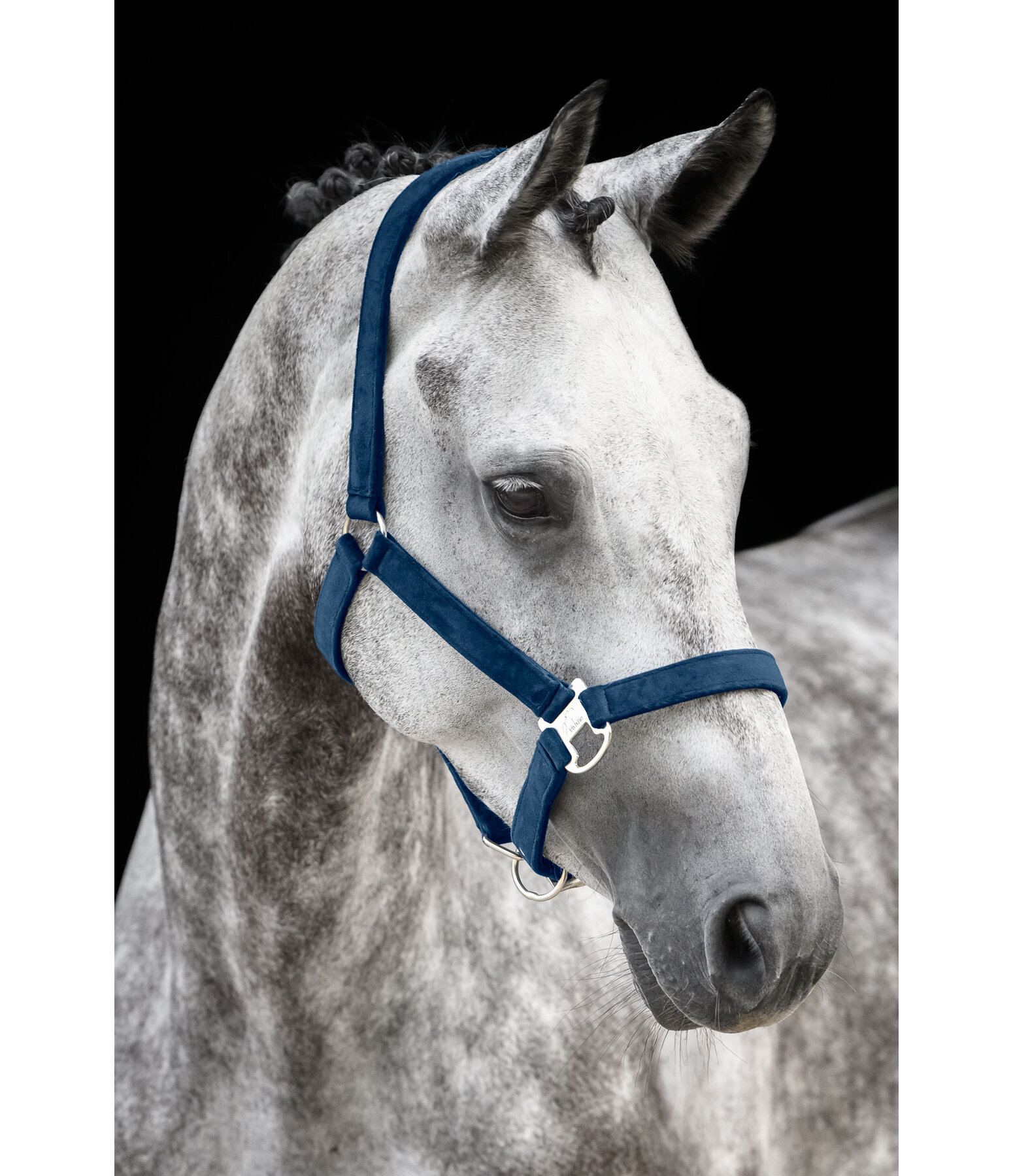 Headcollar Velvet