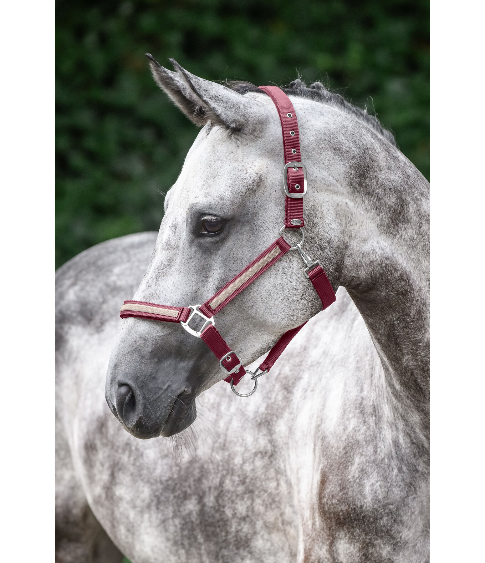 Headcollar Blaire