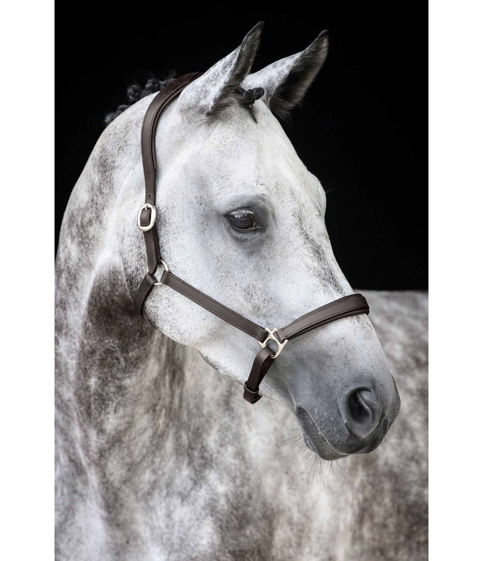Leather Headcollar Anatomical