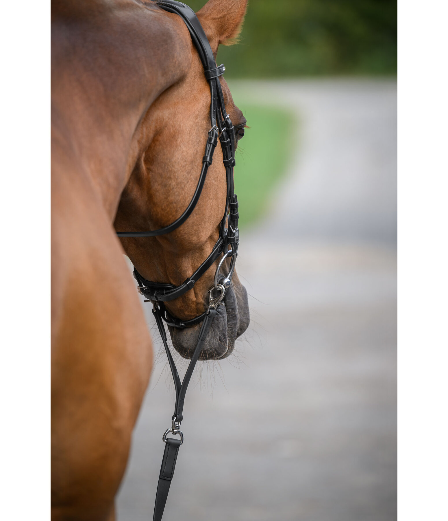 Lead Rope Safety