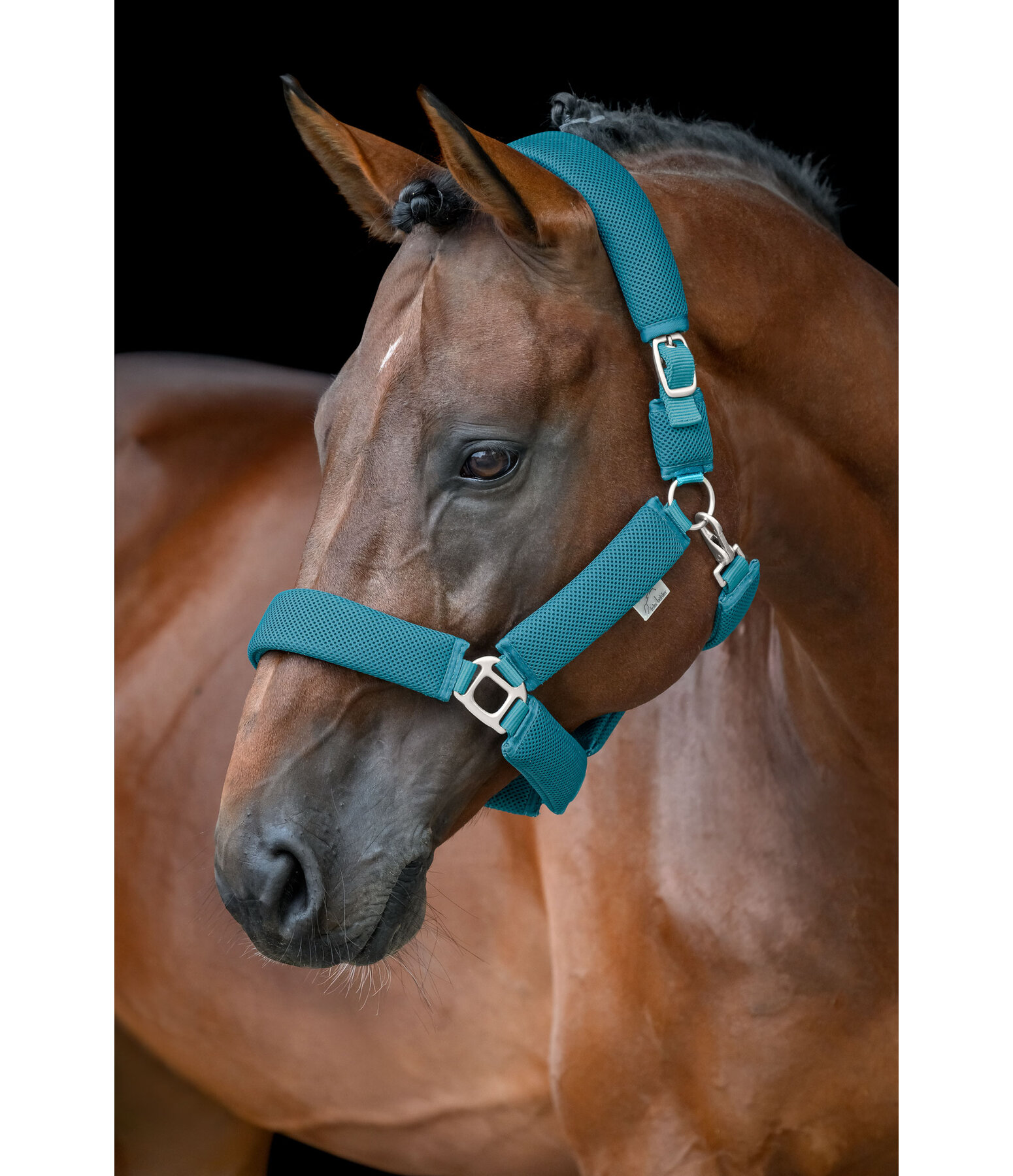 Mesh Headcollar Airflow