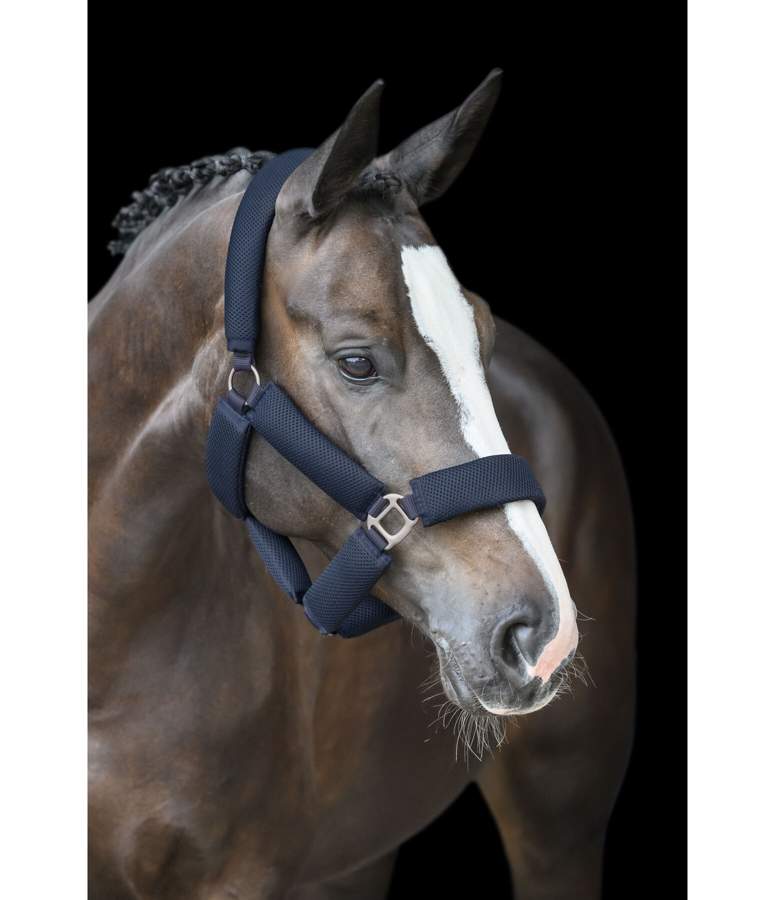 Mesh Headcollar Airflow
