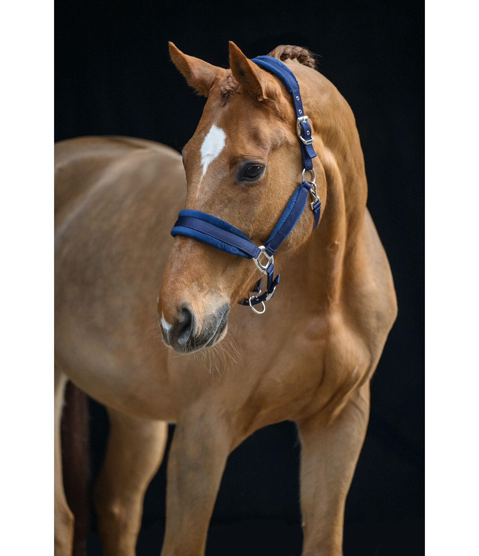 Headcollar Soft Velvet