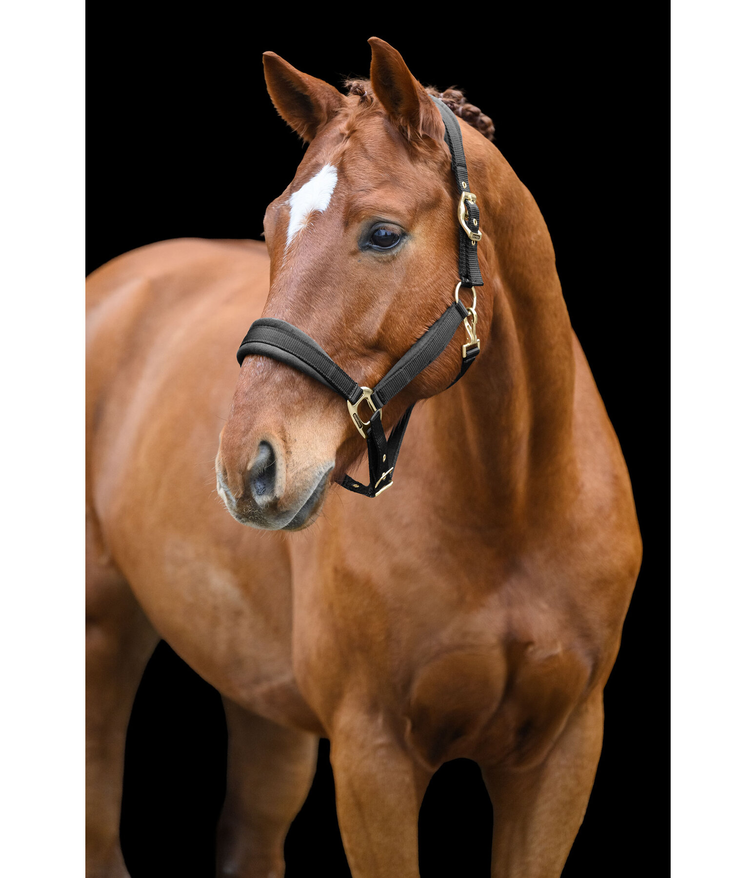 Headcollar Soft Velvet