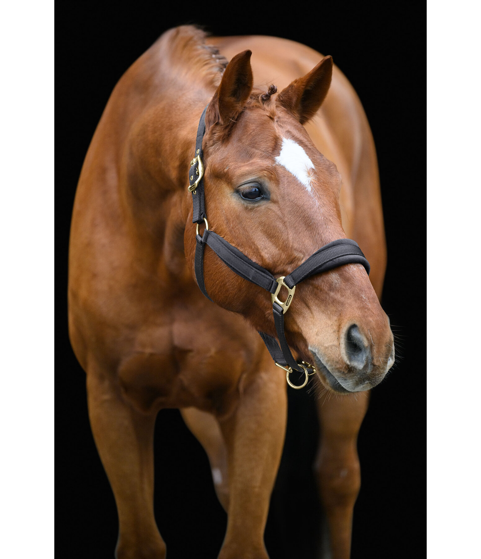 Headcollar Soft Velvet