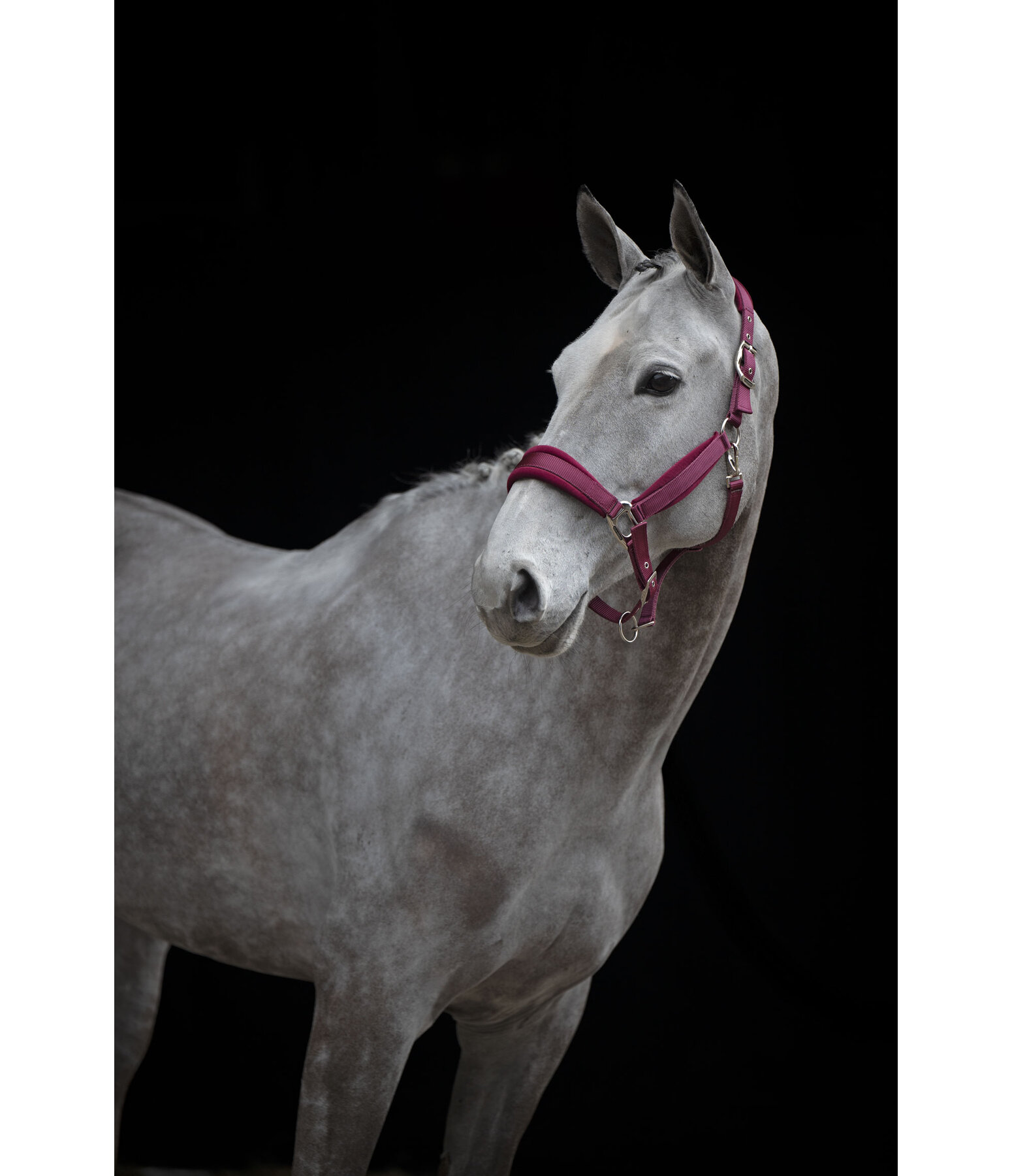 Headcollar Soft Velvet