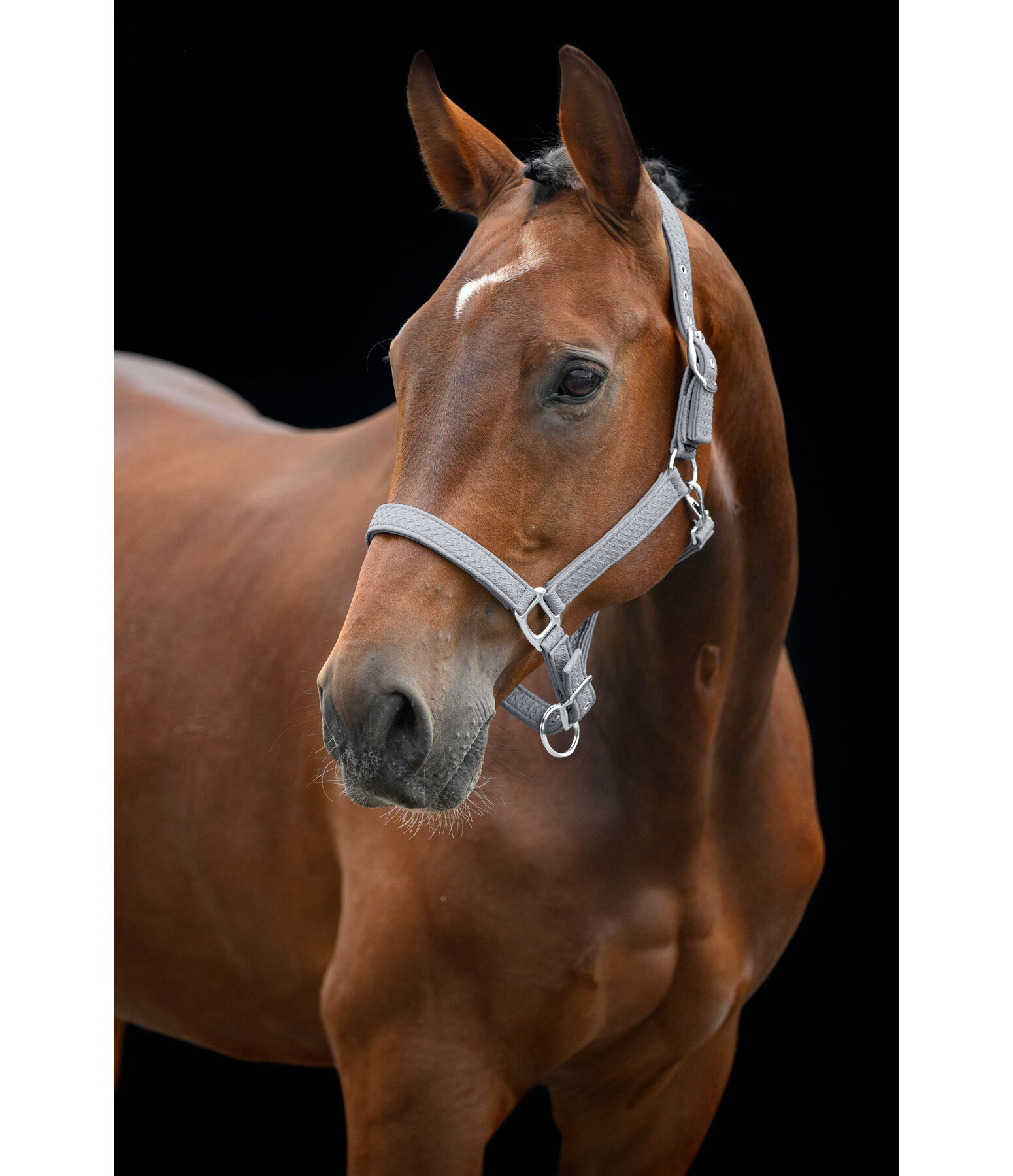 Headcollar Braid