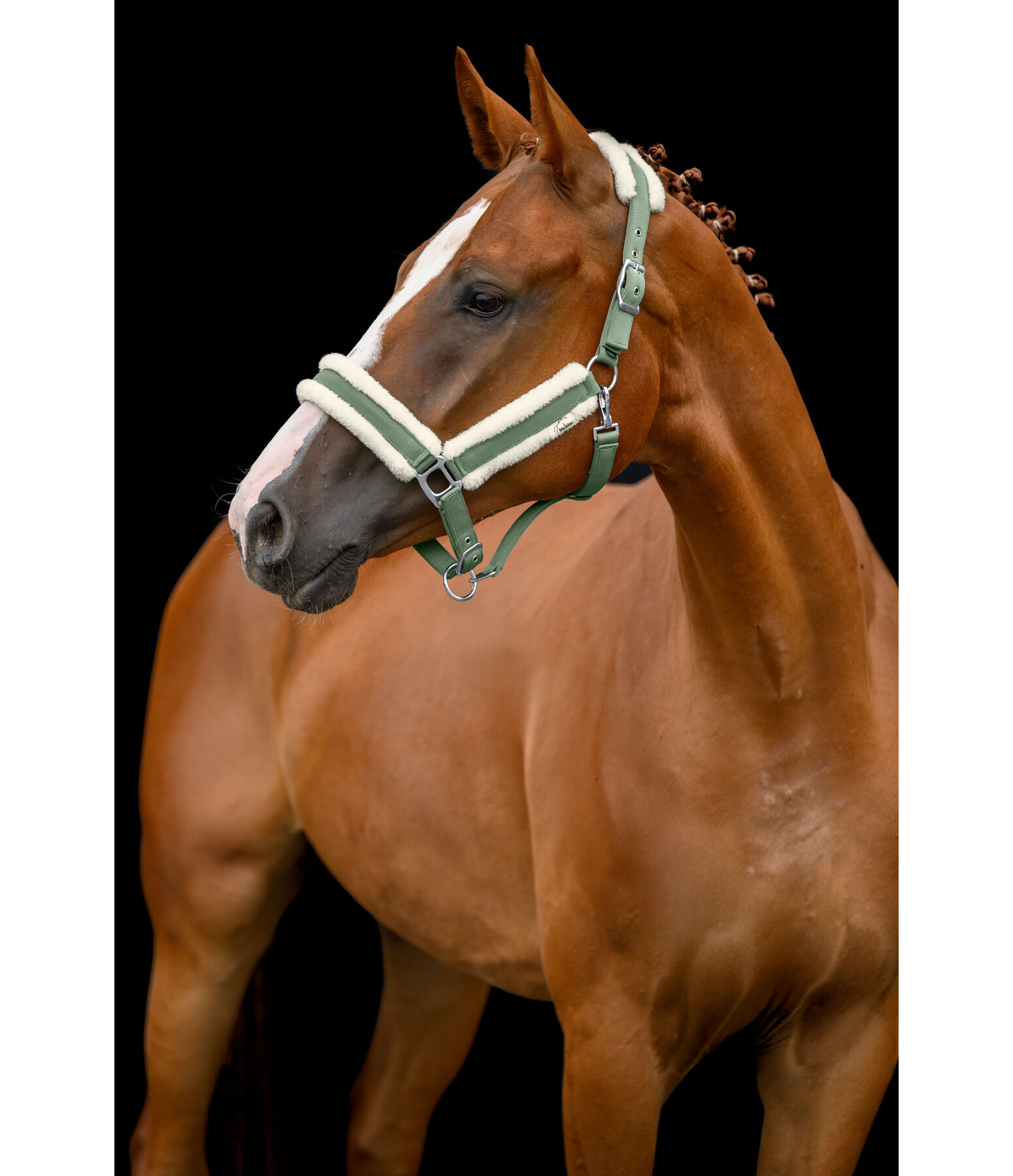 Headcollar Soft