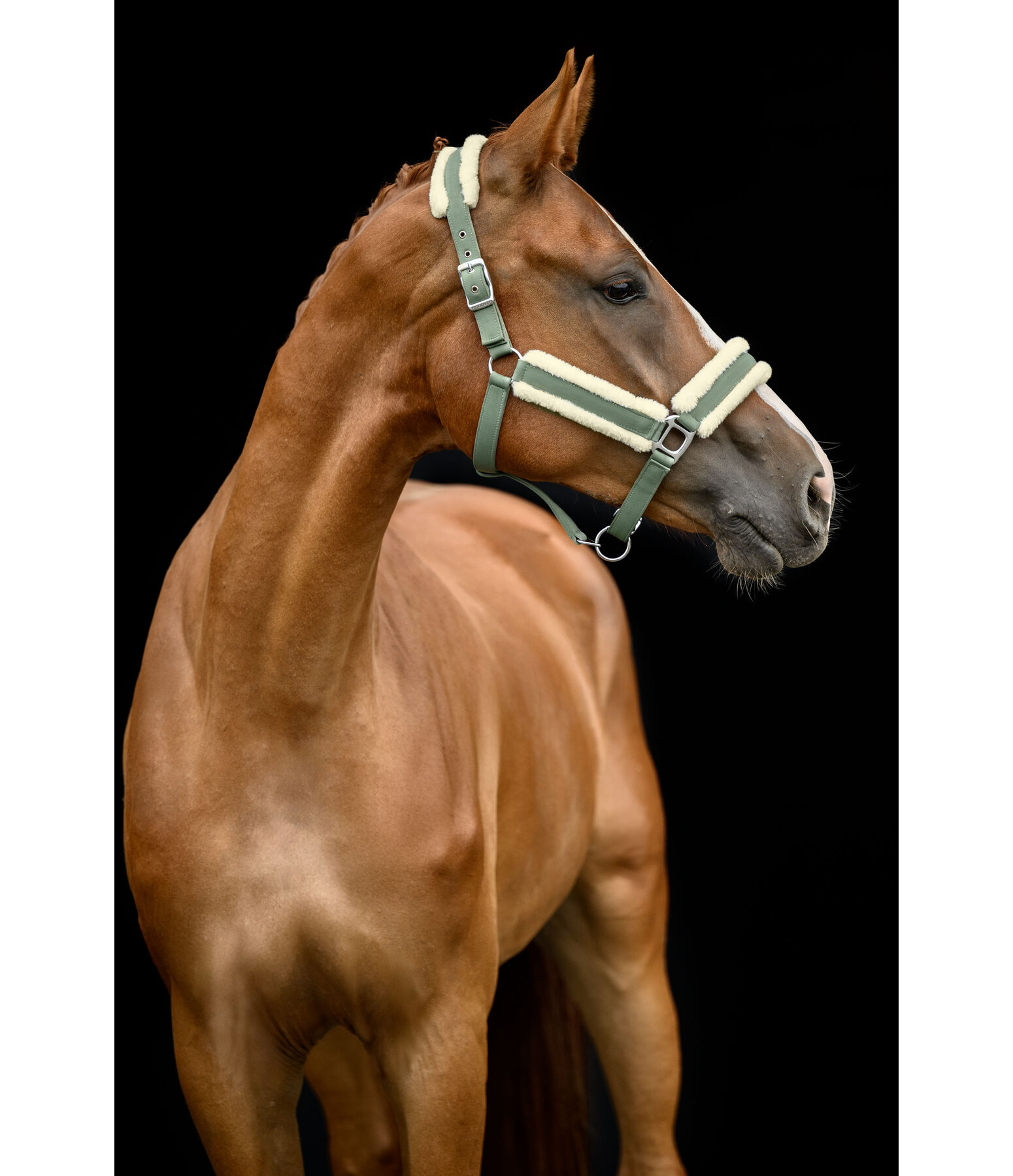 Headcollar Soft