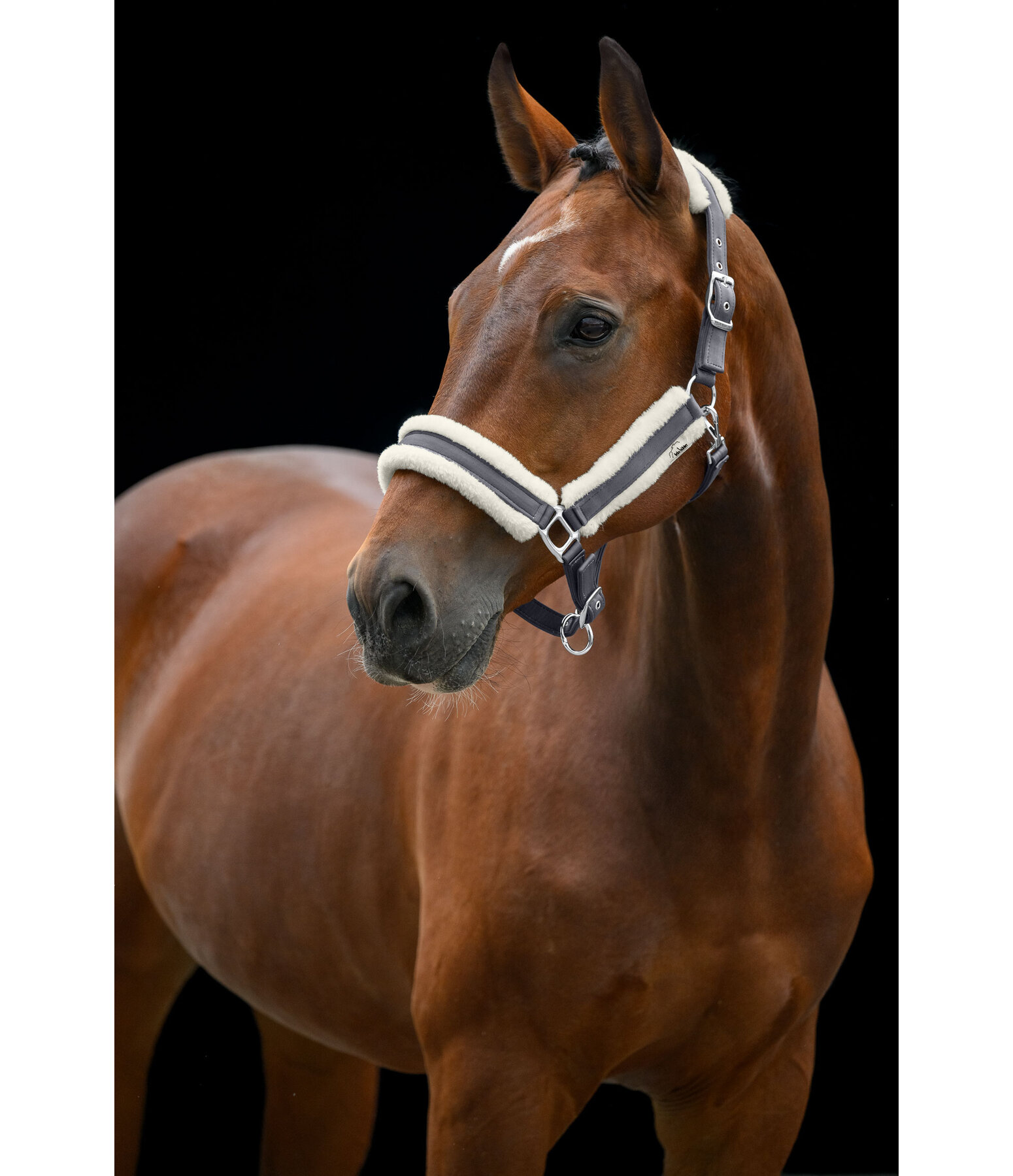 Headcollar Soft
