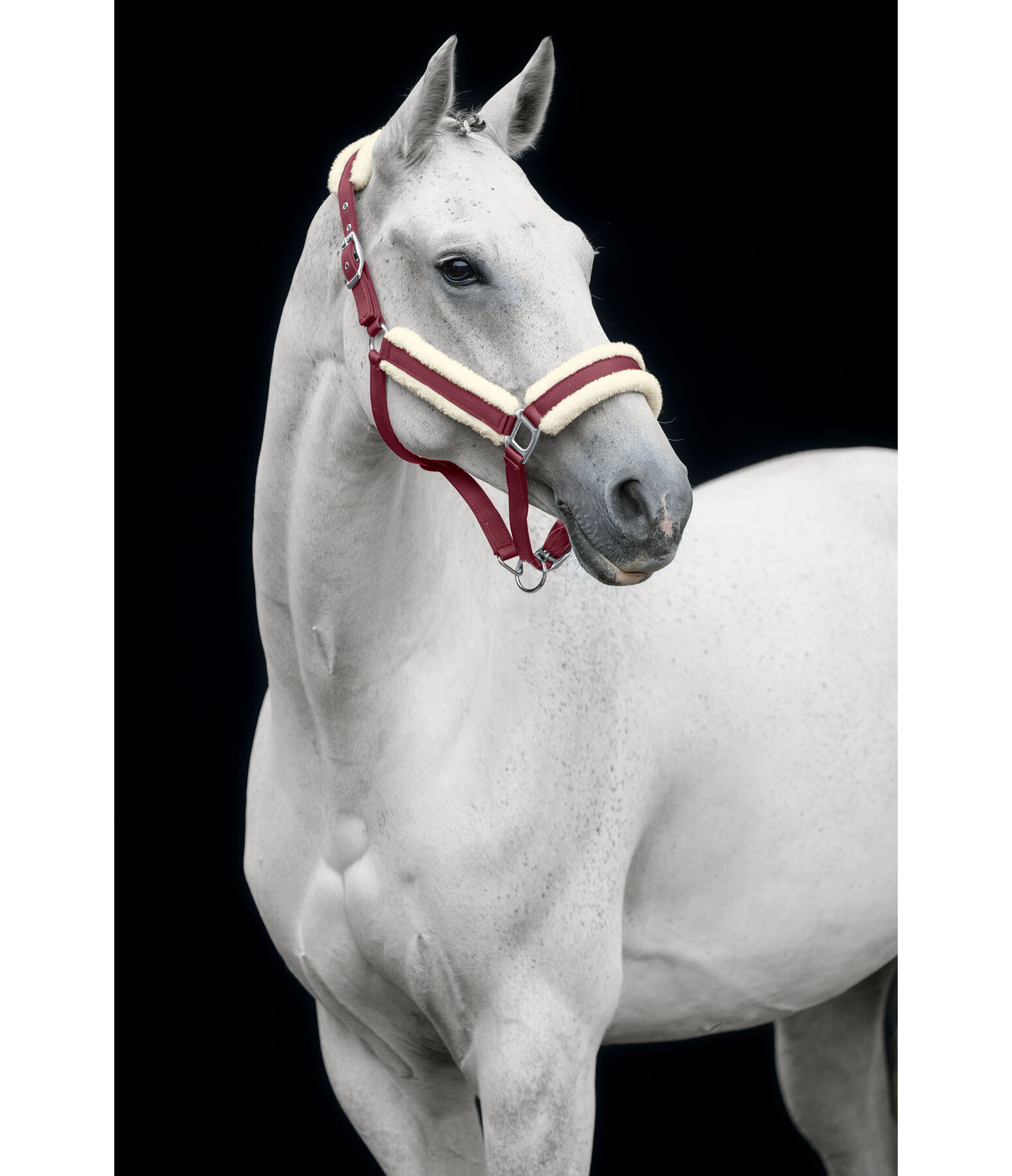 Headcollar Soft