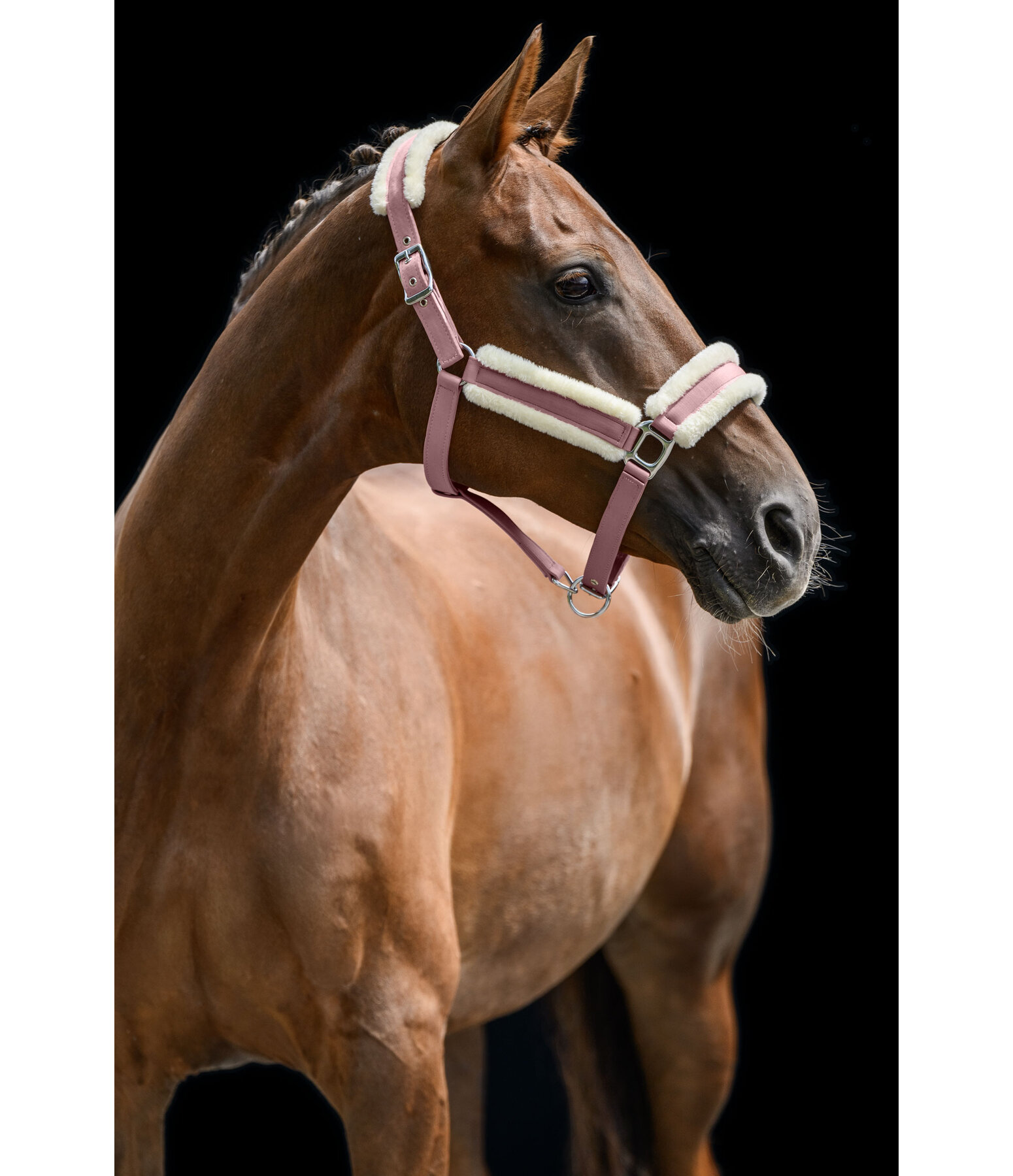 Headcollar Soft