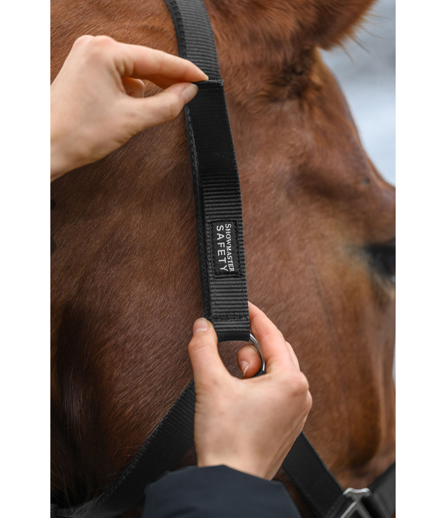 Safety Headcollar