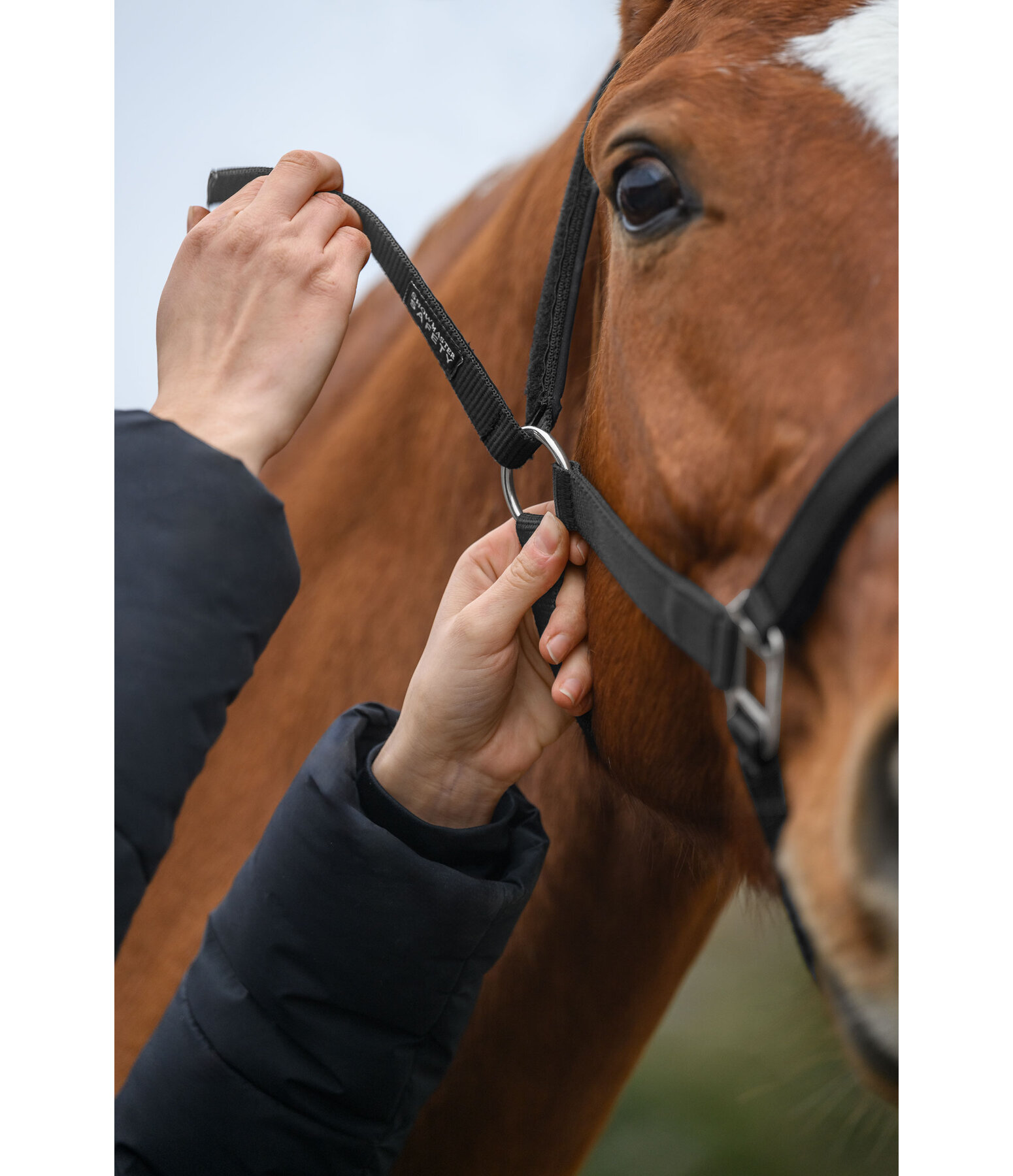 Safety Headcollar