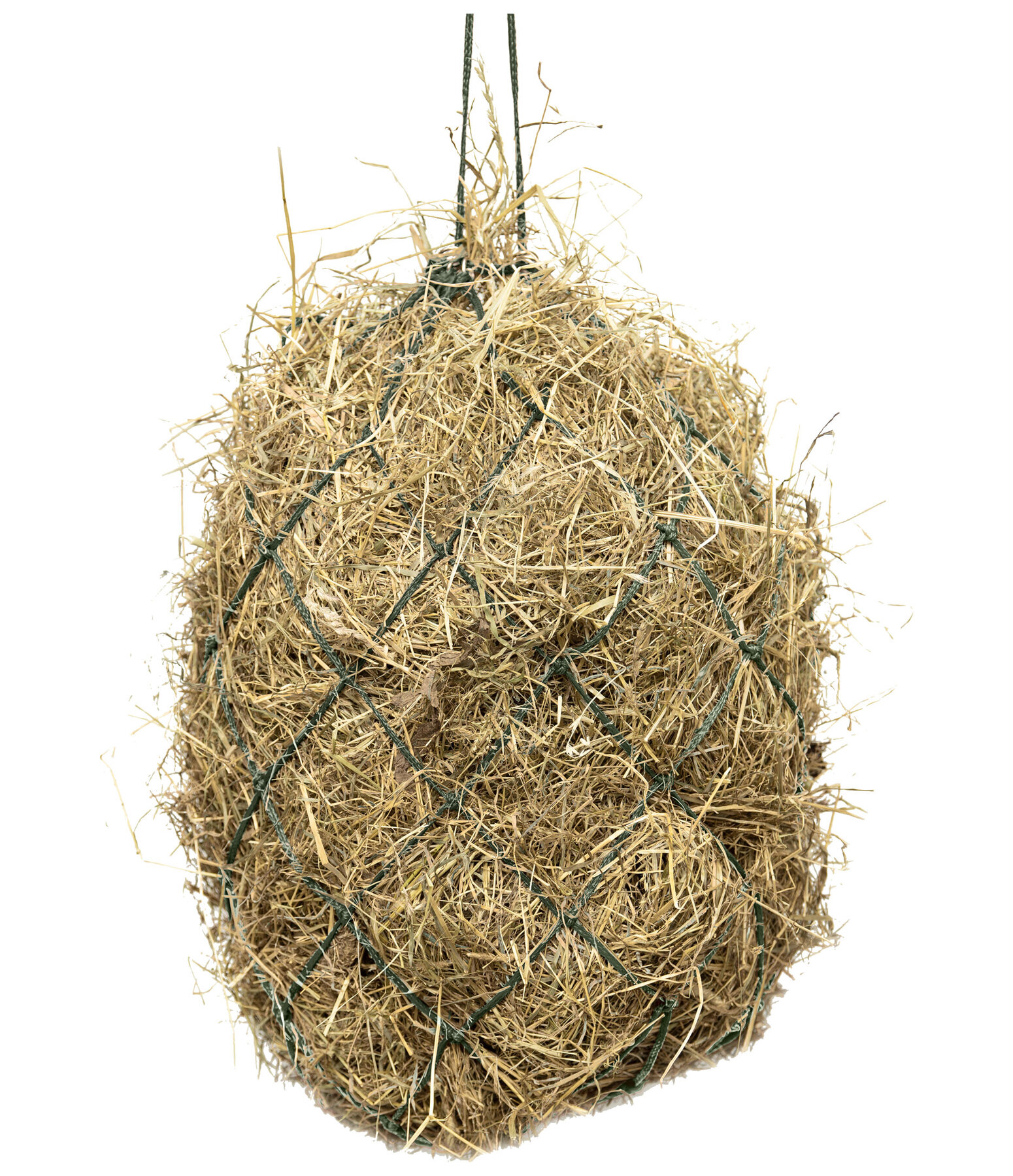 Haynet