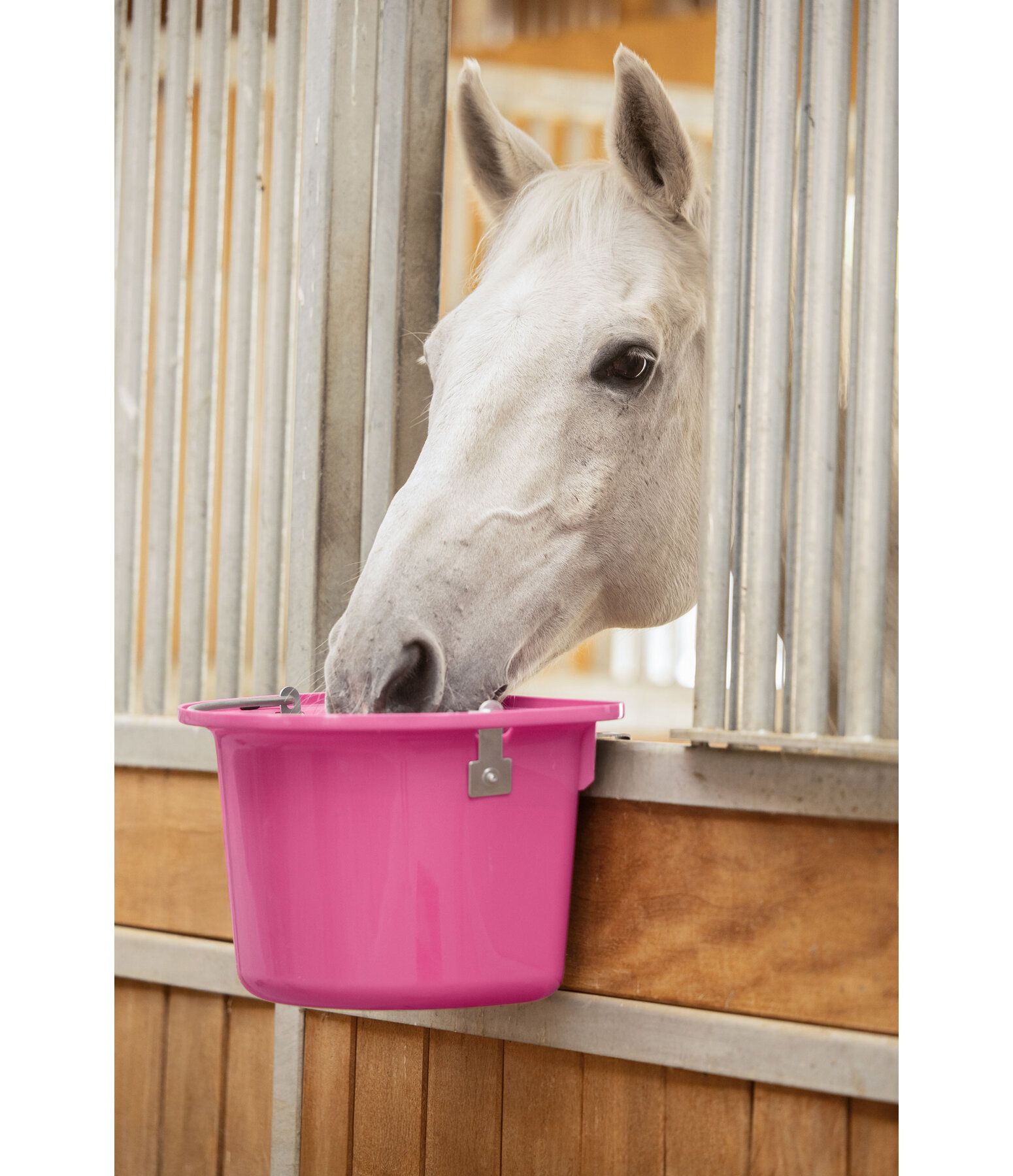 Feed Bucket Deluxe, 12L