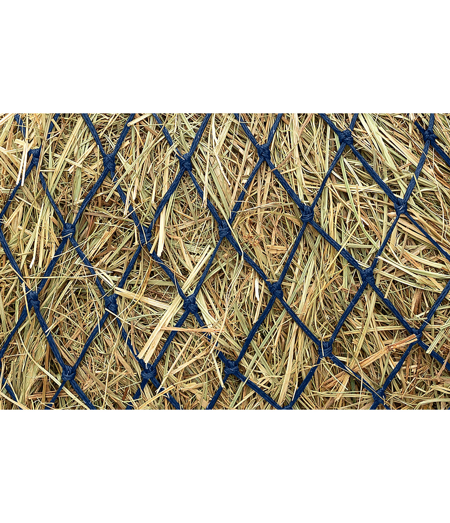 Large Haynet Tight Mesh