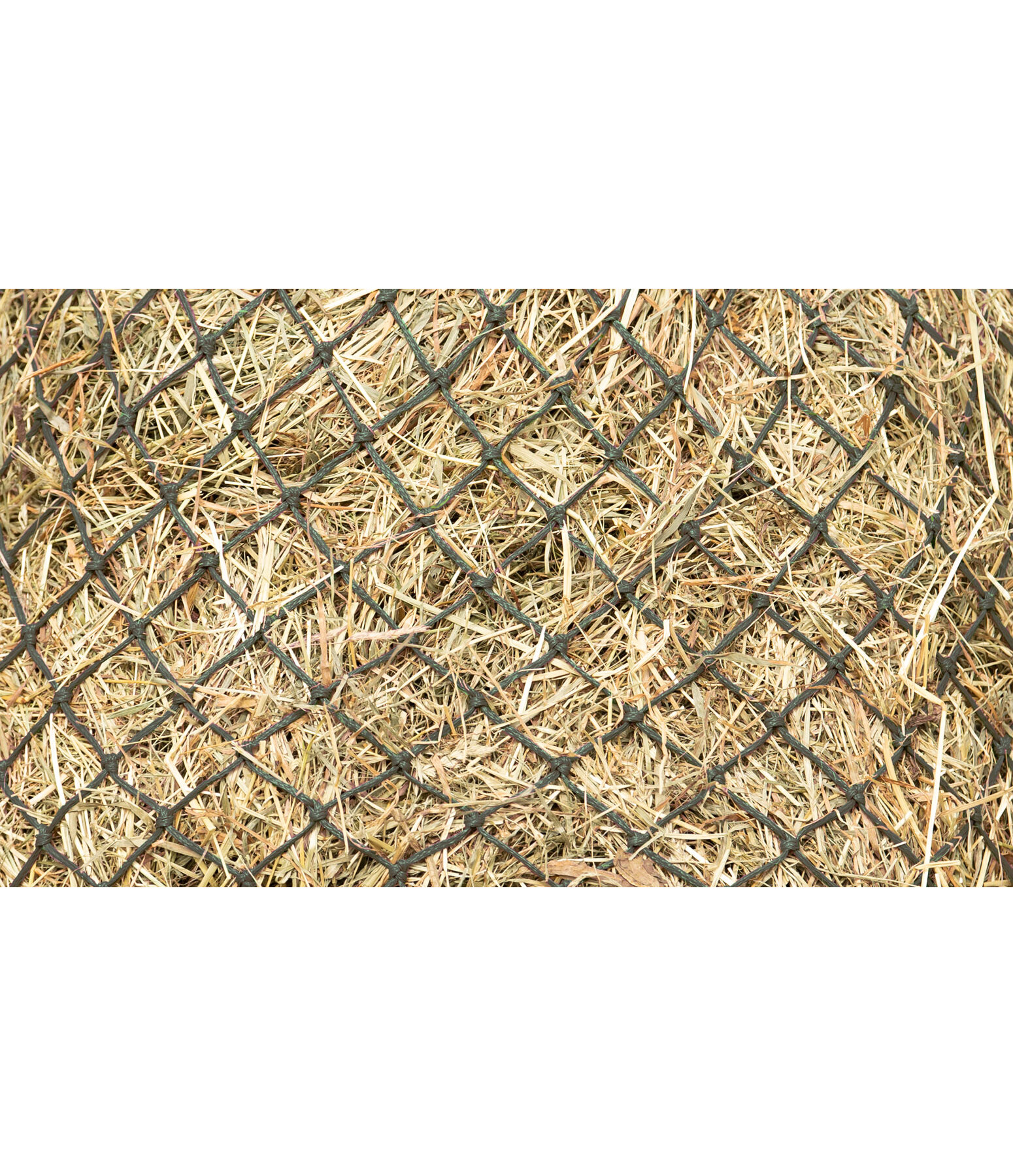 Large Haynet Tight Mesh