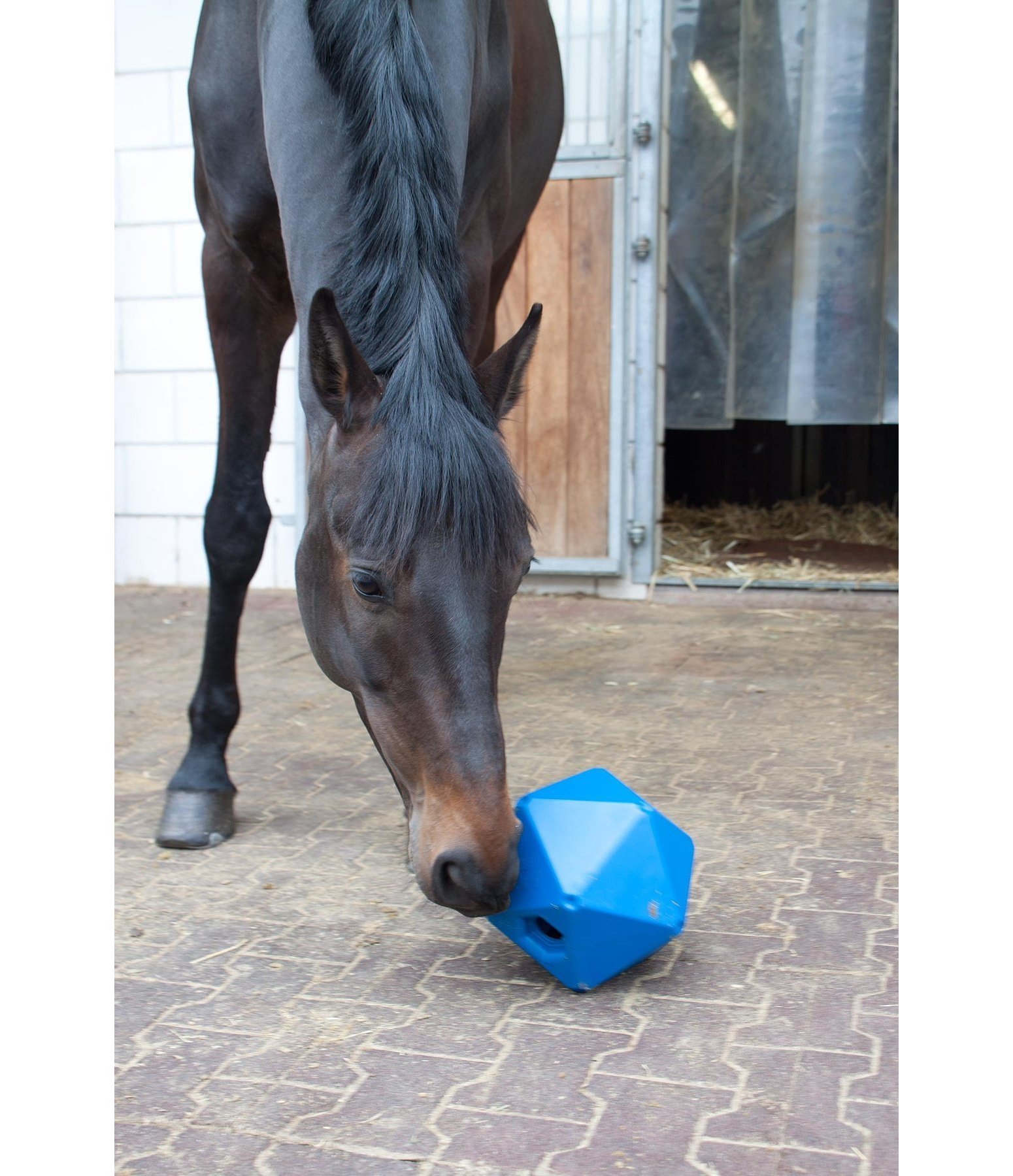 Horse treat deals ball