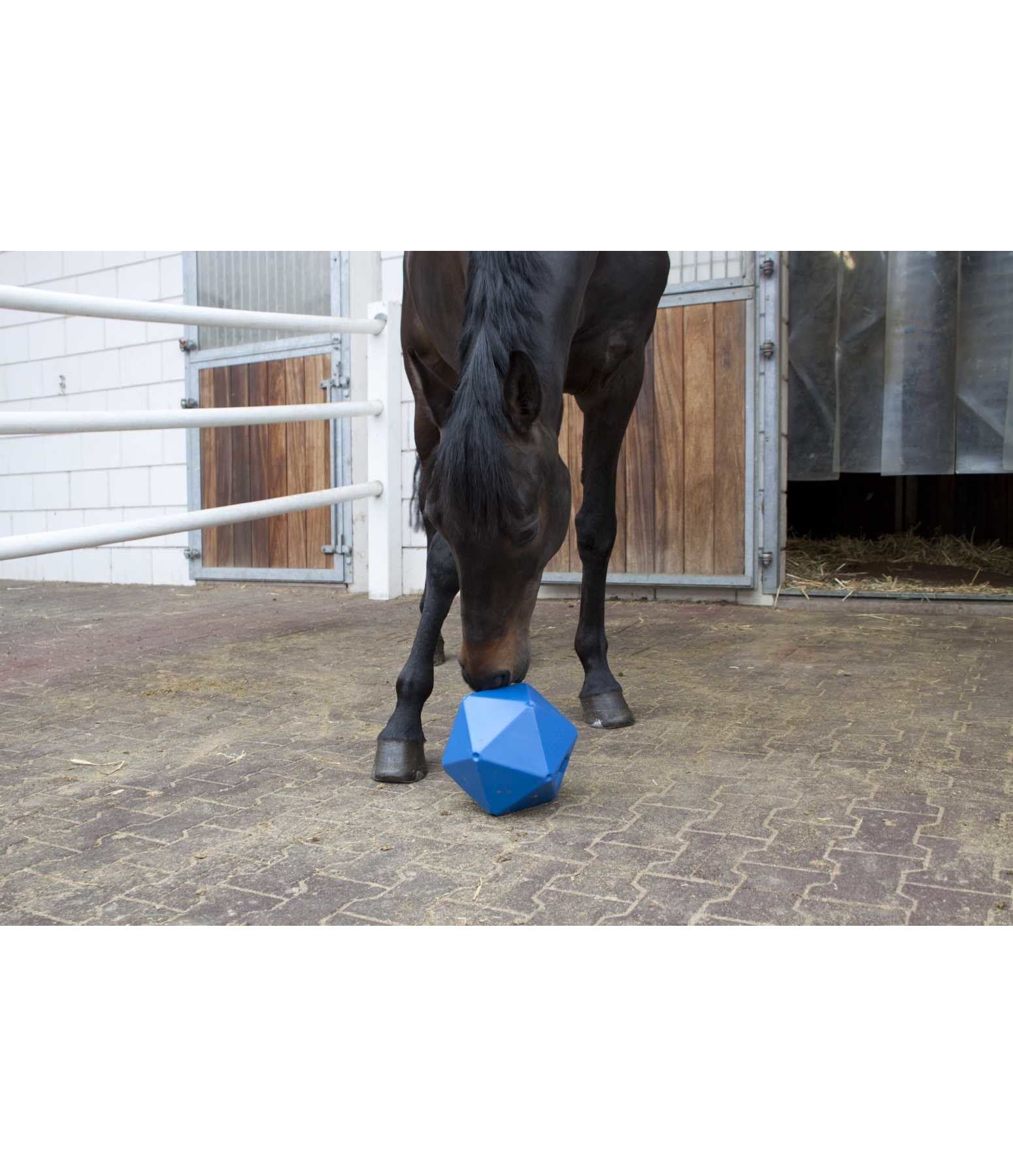 Treat and Activity Ball