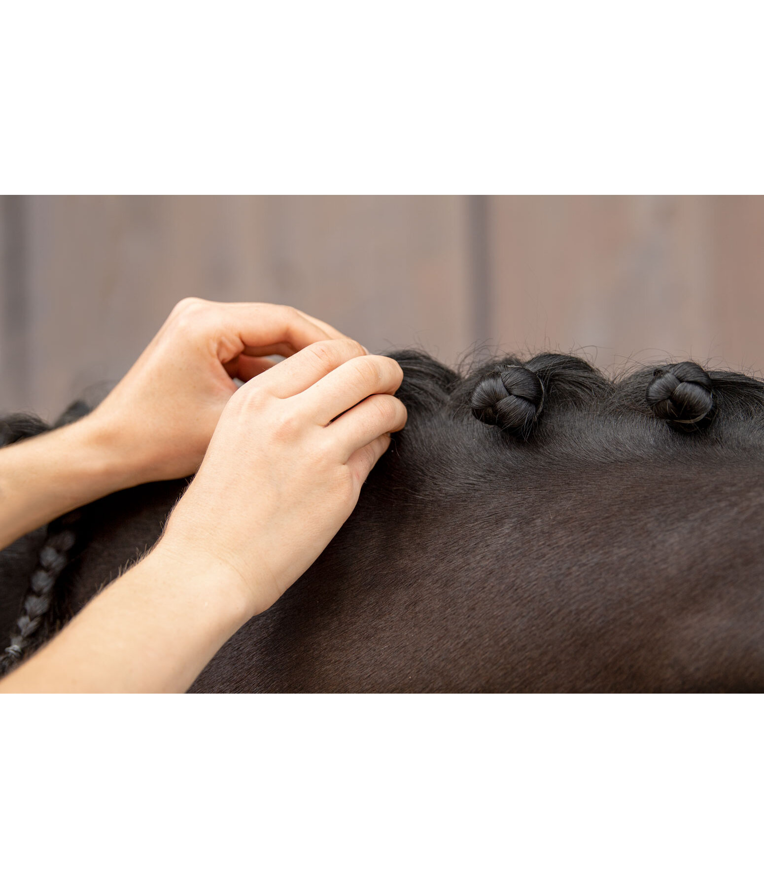 Mane Plaiting Bands Box